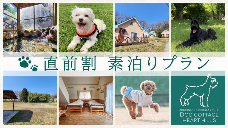 【直前割】お一人2，000円引【素泊】独立型の森のコテージと広々ドックランでストレスフリーに満喫