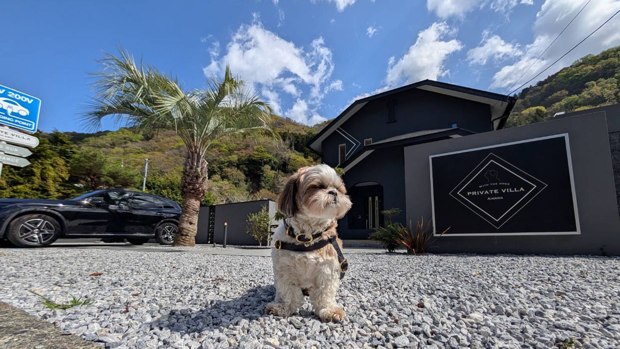 【返金不可プラン】60日前予約で20％OFF！愛犬と楽しむ贅沢ヴィラ