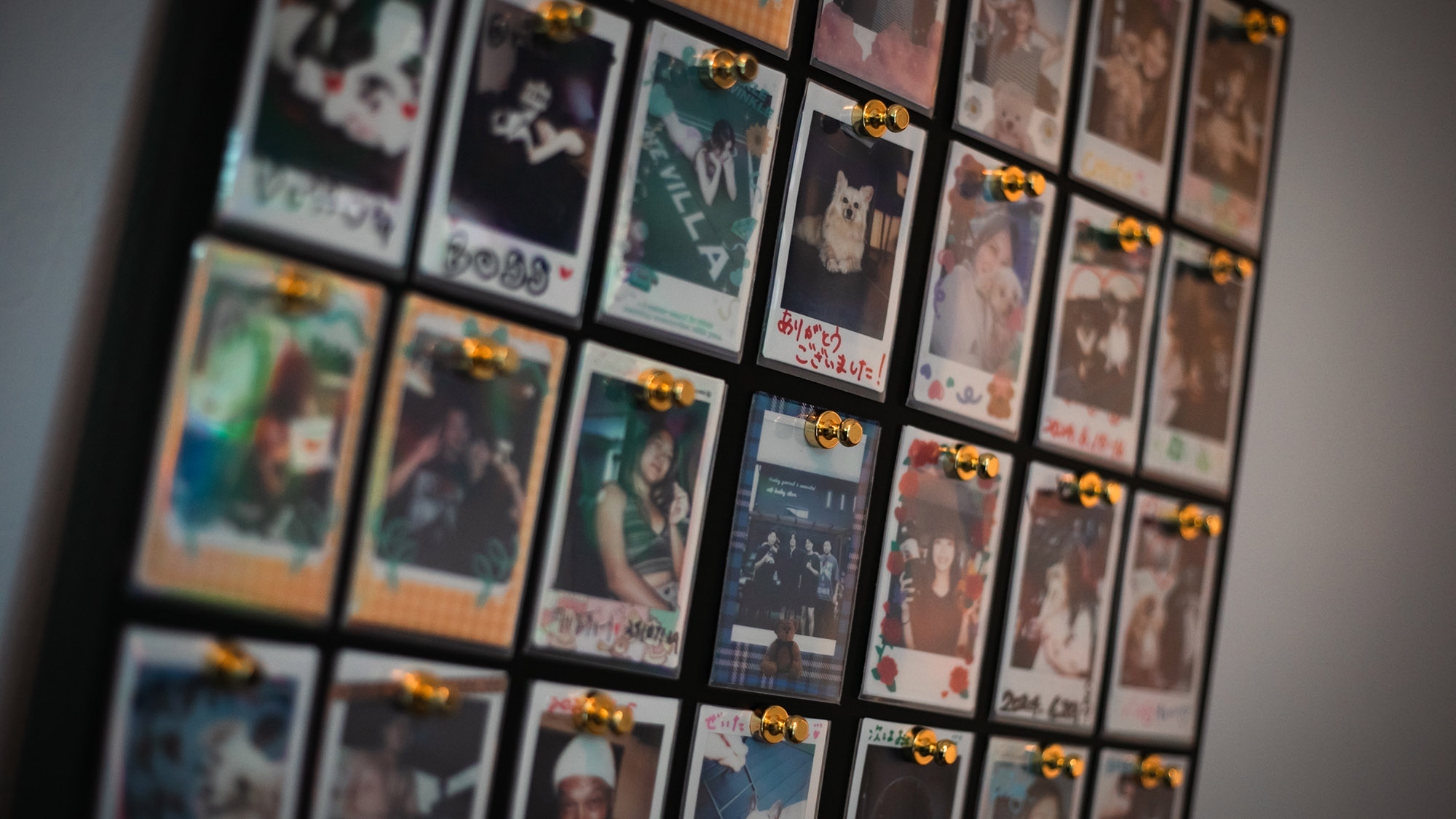 ・【チェキ】ワンちゃんとの最高の思い出をお写真に。いつでも思い出を振り返れます