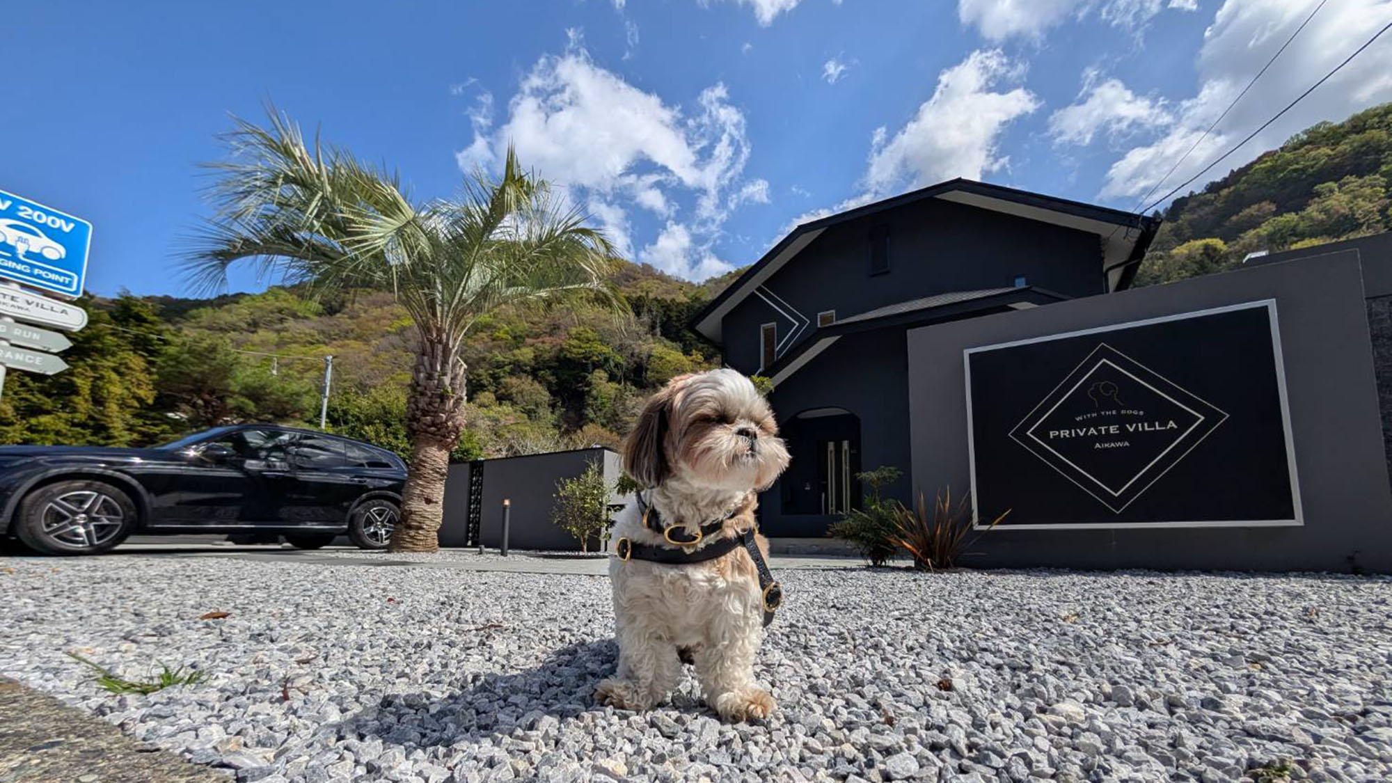 ・【外観】愛犬と過ごす自分たちだけの時間。広々としたプライベートドッグランを完備