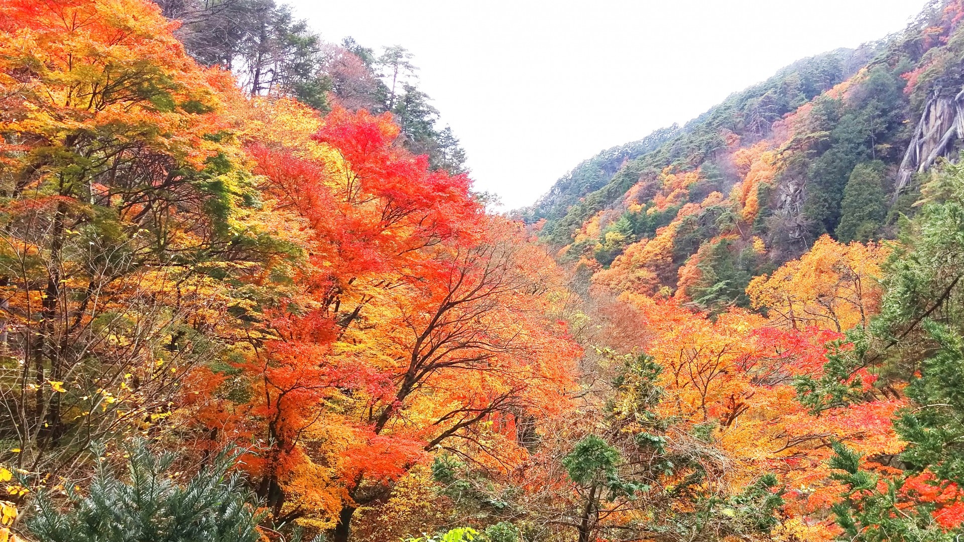 【昇仙峡】お車で30分。紅葉のグラデーションが秋の訪れをささやきます。