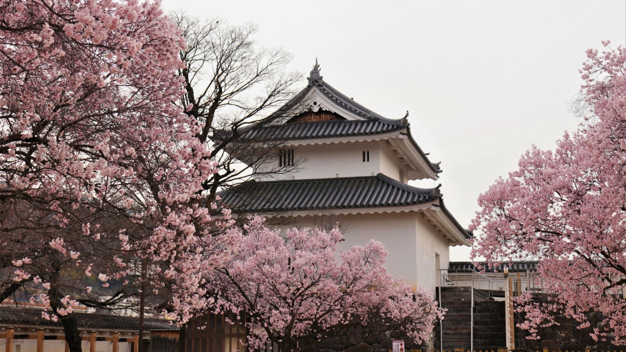 【甲府城】春の甲府城は桜が美しく、富士山を眺めながらのお花見も楽しめます。当館よりお車で約10分。