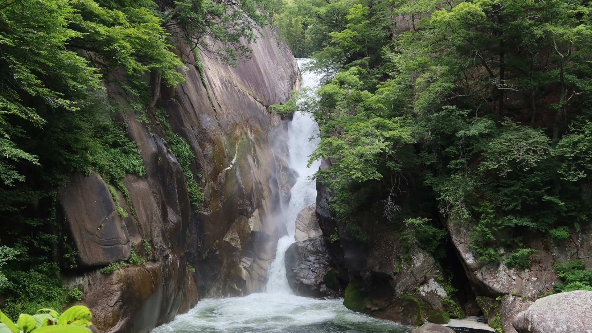 【昇仙峡の仙娥滝】お車で30分