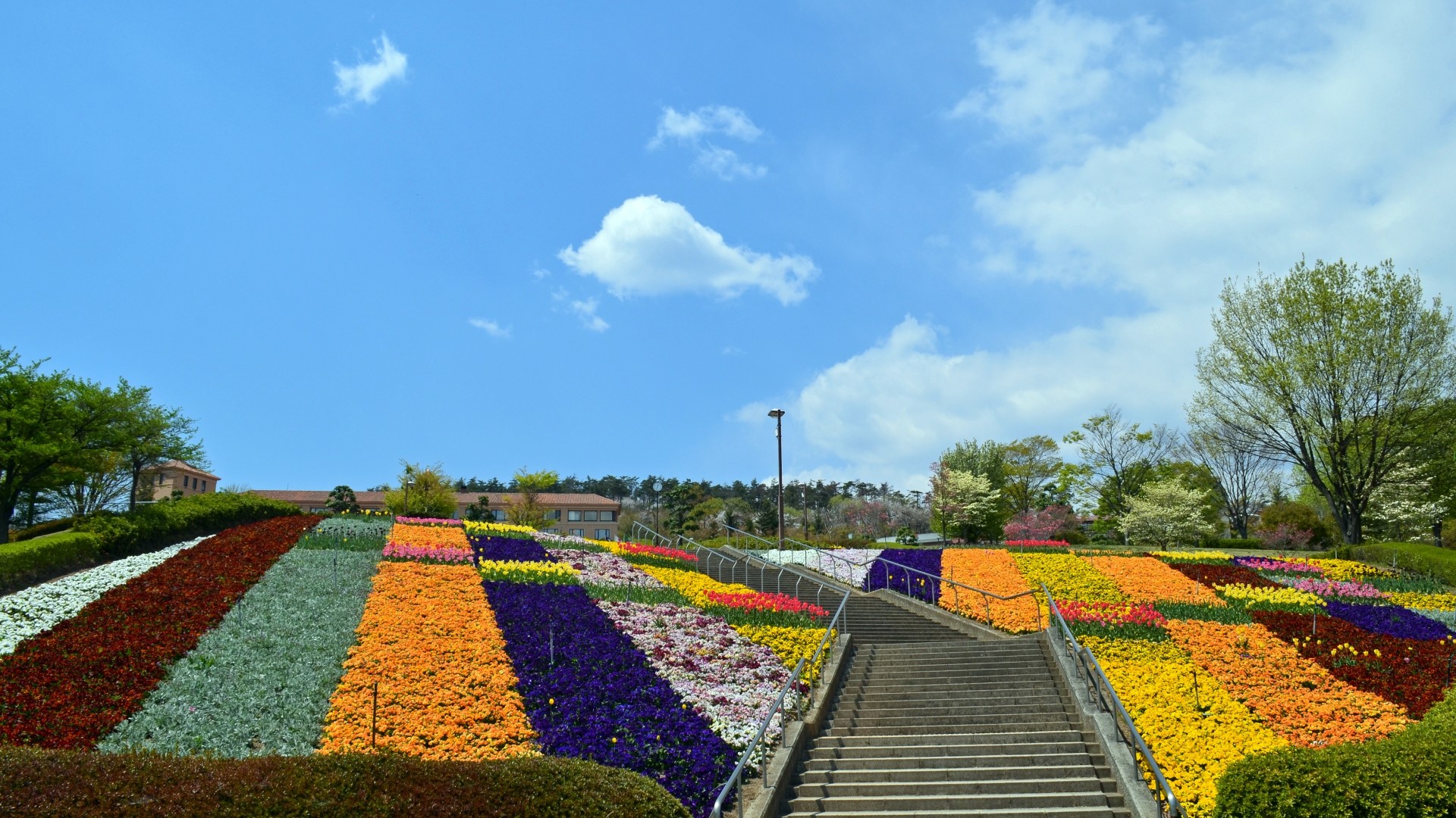【笛吹川フルーツ公園】お車で30分。花とフルーツとワインの公園をテーマとして整備された都市公園。