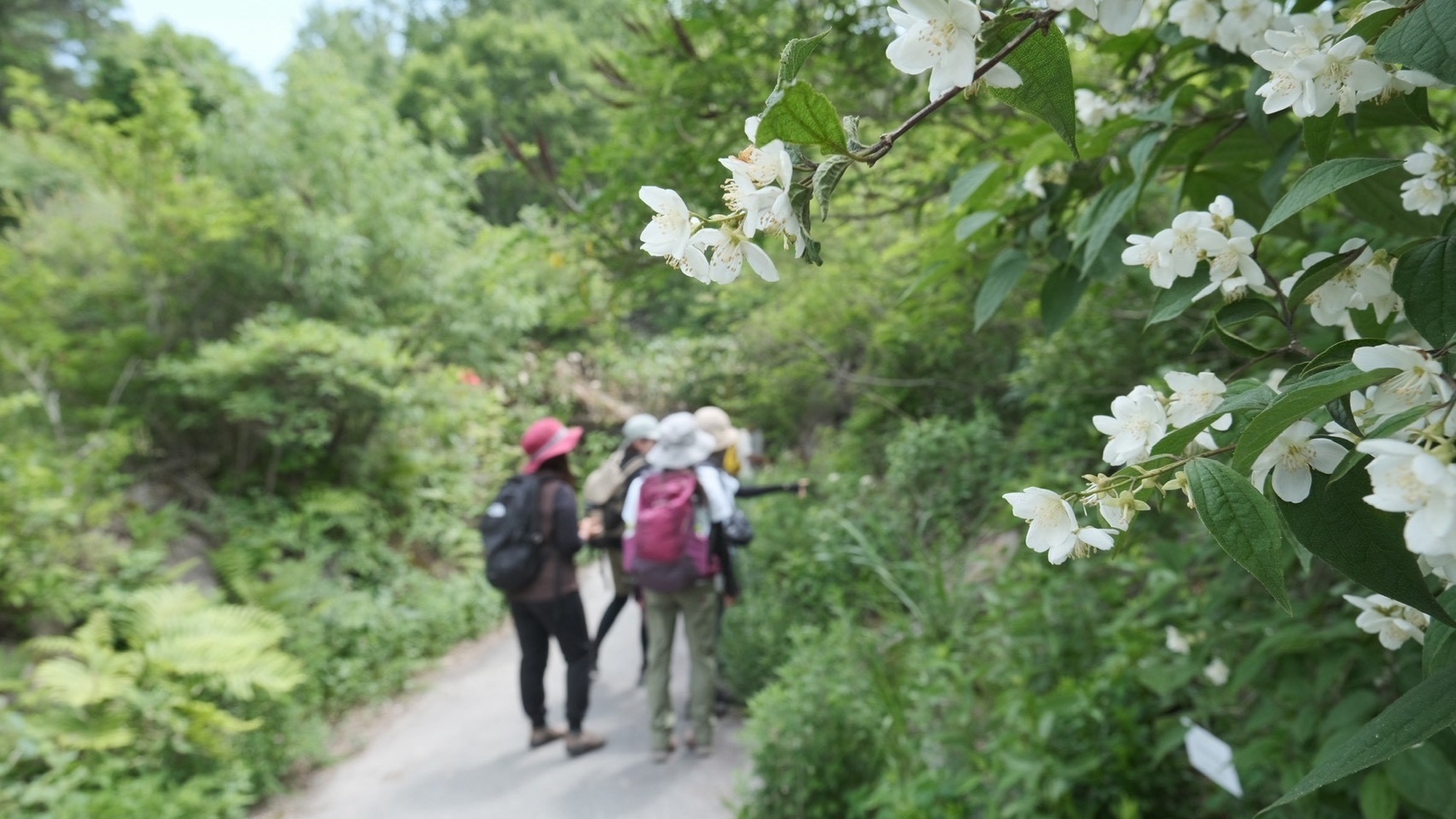 【素泊×連泊限定3大特典】多彩な自然体験プログラムをご用意♪早朝の澄んだ空気から夜の満天の星まで堪能