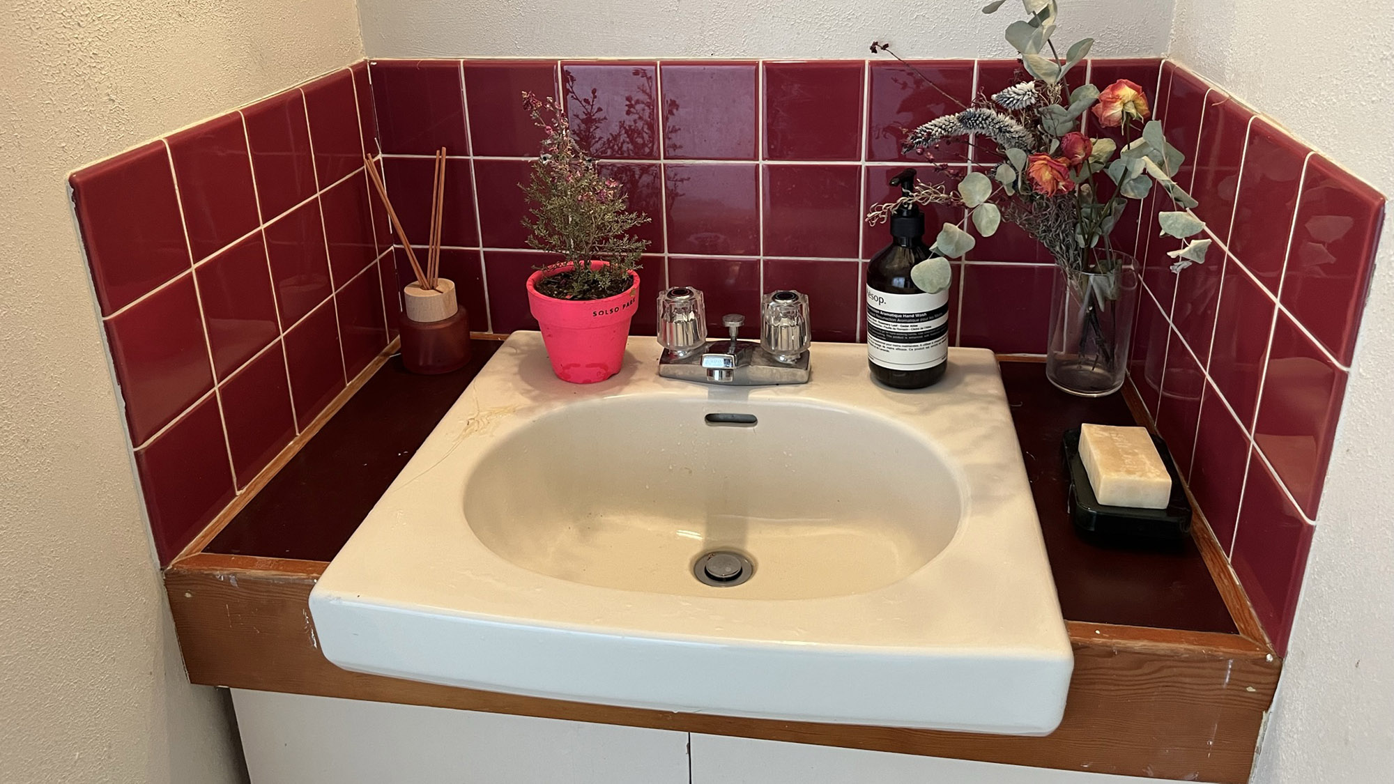 ・【洗面】緑が置かれた清潔な洗面所。快適にお使いいただけます