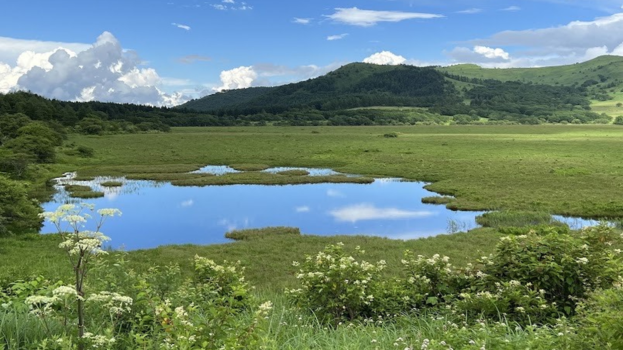 ・【春夏イメージ】八島湿原で美しい景色を眺めながら、約1.5時間の気軽なトレッキングを♪