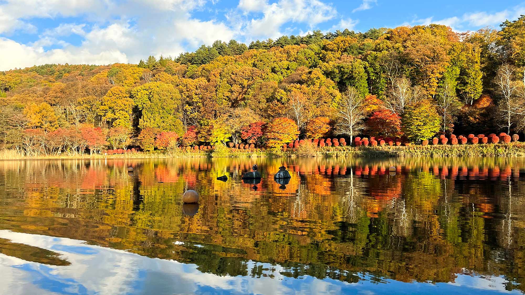 ・【秋イメージ】山が燃えるような紅葉のシーズンは観光にも最適な季節です