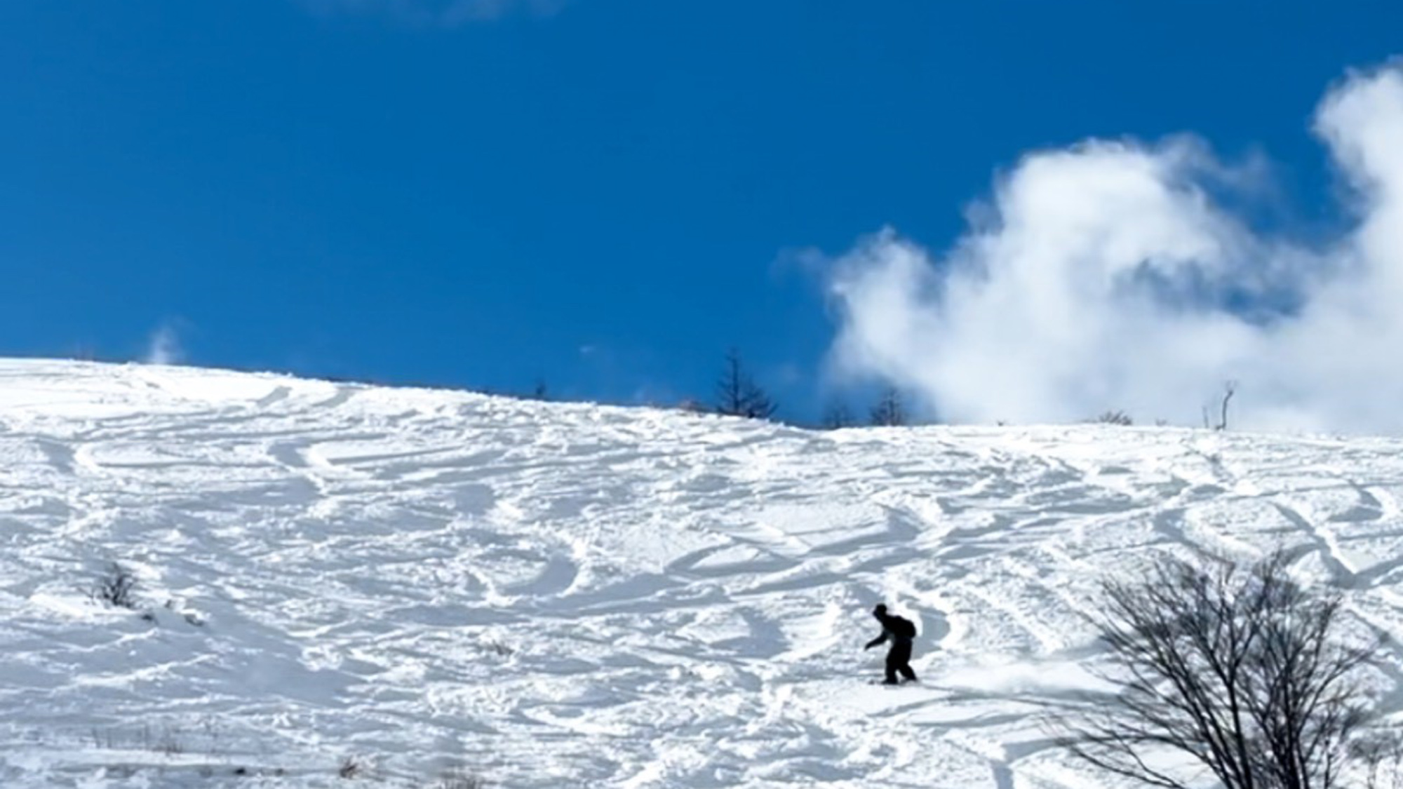 ・【冬イメージ】颯爽と晴れた雪山を滑って寒いはずなのに身体はポカポカ。最高のリフレッシュタイム