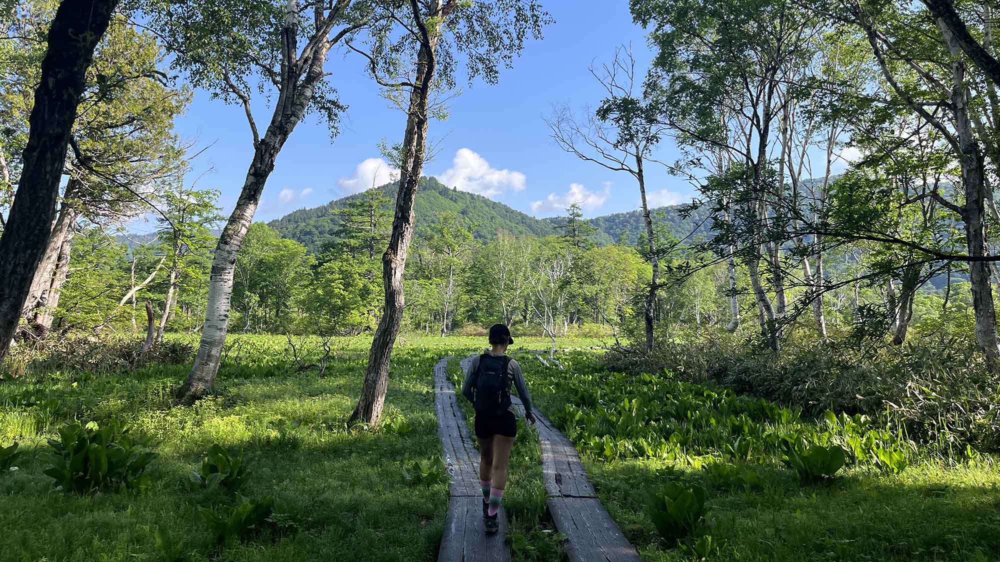 ・【散策イメージ】車山と八島湿原を巡る山歩きは、心身を深く癒す特別な体験♪