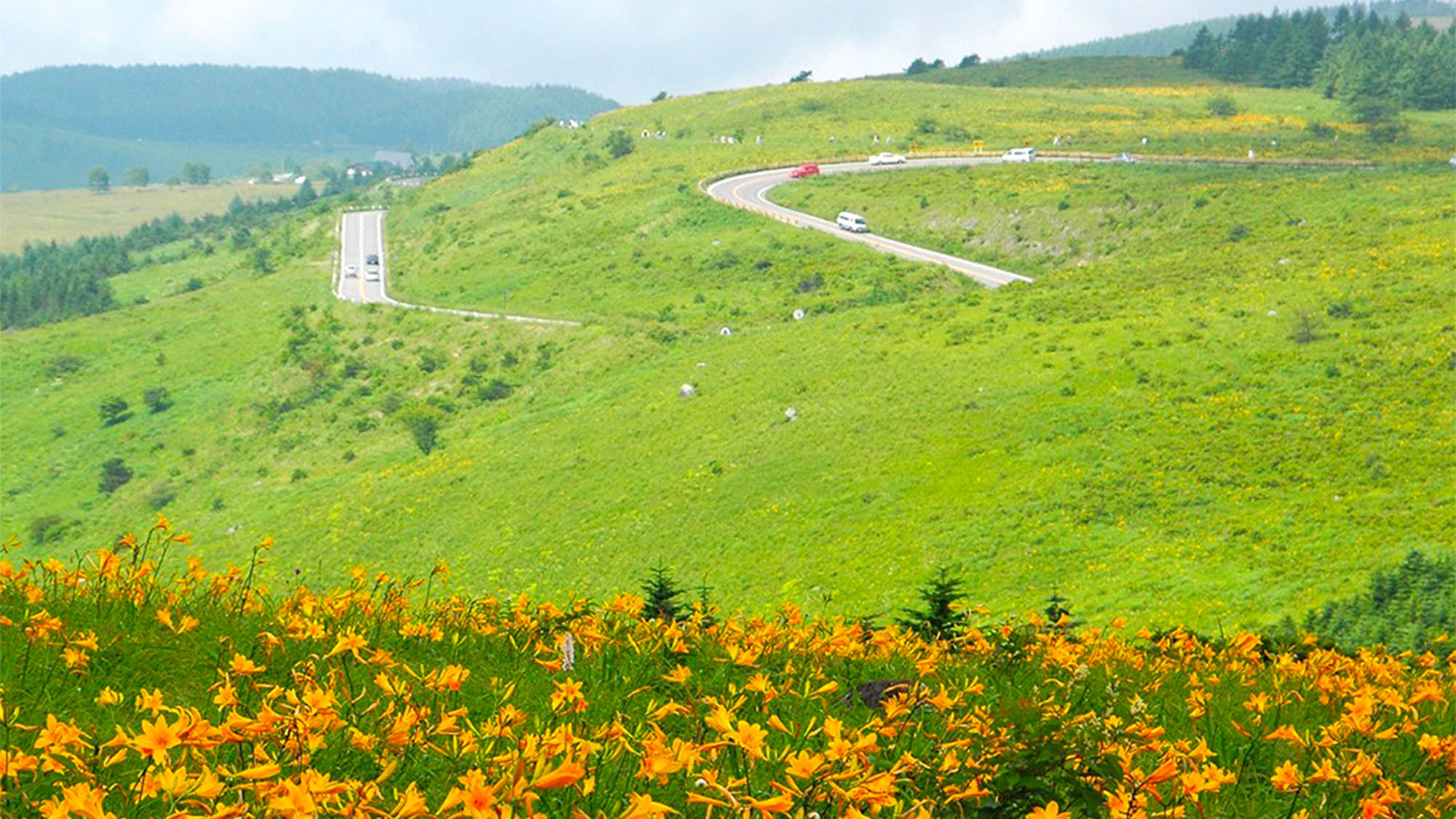 ・【ビーナスライン】映画「ほどなく、お別れです」のロケ地を巡るドライブをお楽しみください