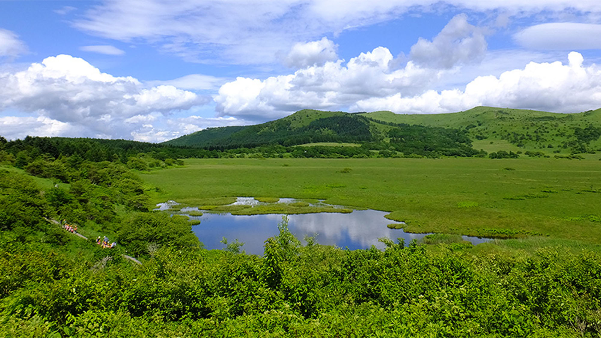 ・【周辺】太古の昔から佇む八島湿原。1939年(昭和14年)に国の天然記念物の指定を受けました