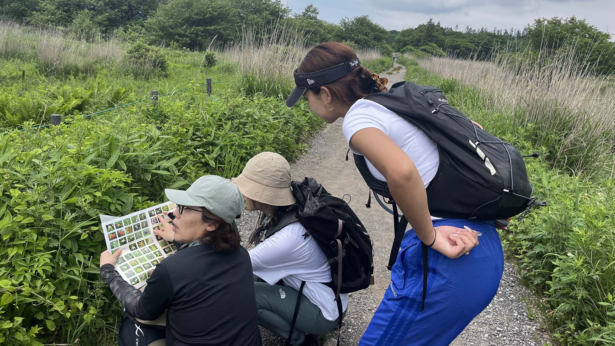・【散策イメージ】歩くたびに新しい発見！車山・八島湿原で、様々な植物との出会いを楽しめます