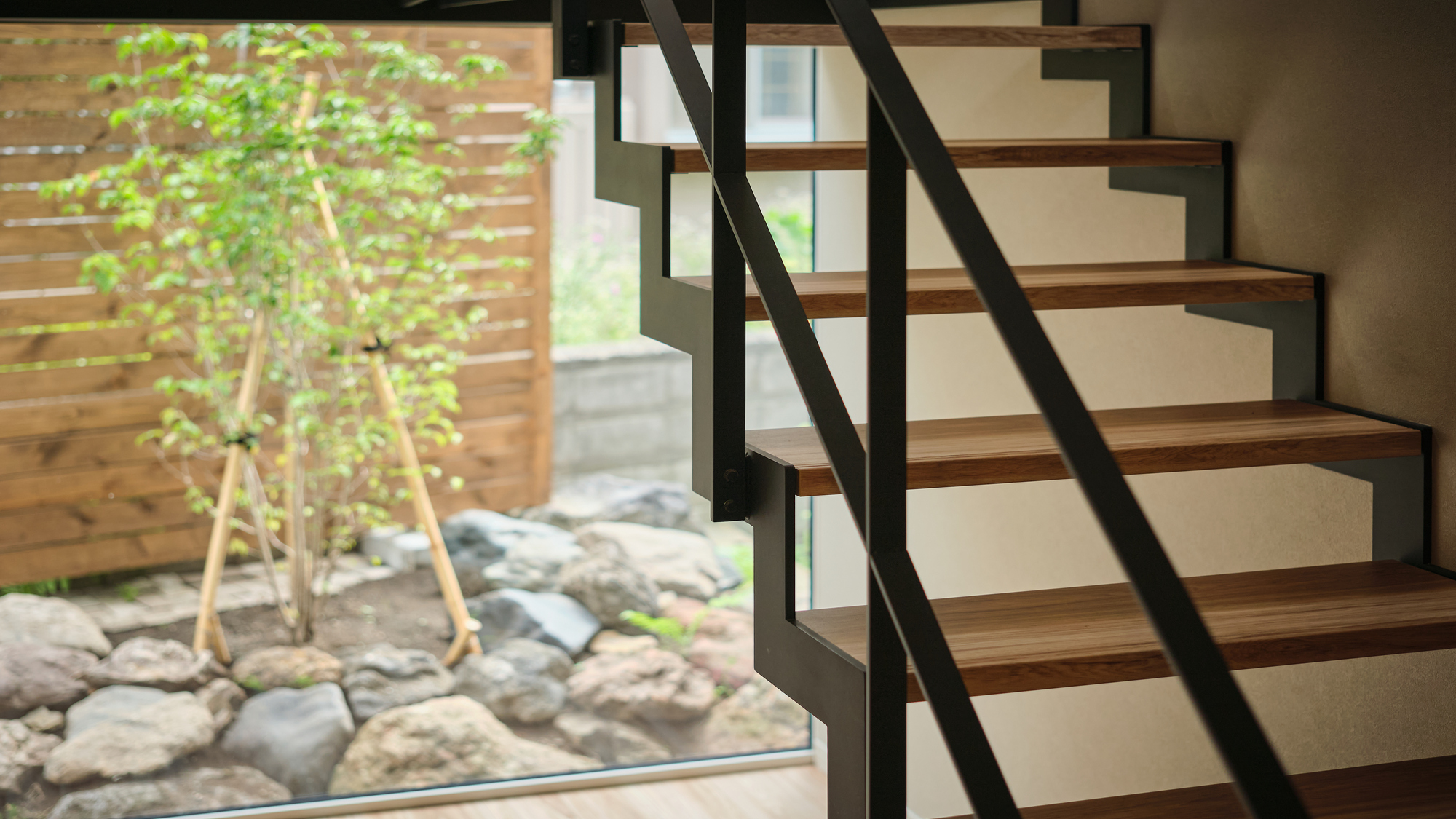 光と緑に癒される