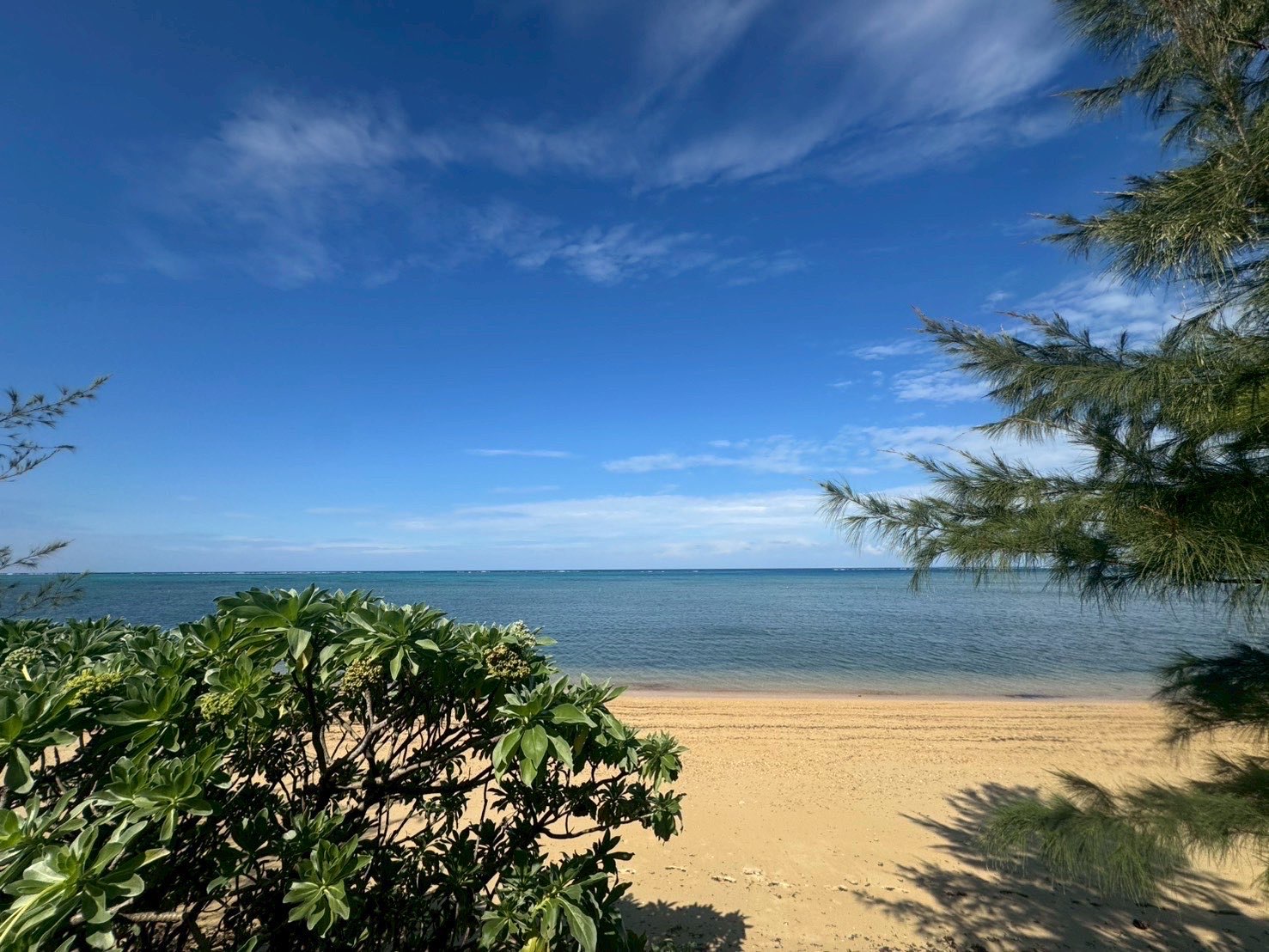 豊かな自然と美しい沖縄の海