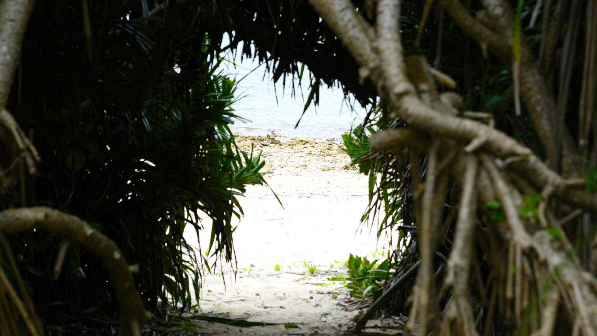 【楽天スーパーSALE】【自然を堪能】プライベートビーチ・BBQ・朝日が楽しめるラグジュアリーヴィラ