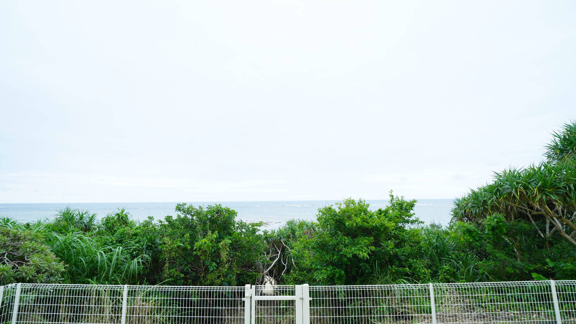 テラスからの眺め（晴れた日には青い海を一望できます）