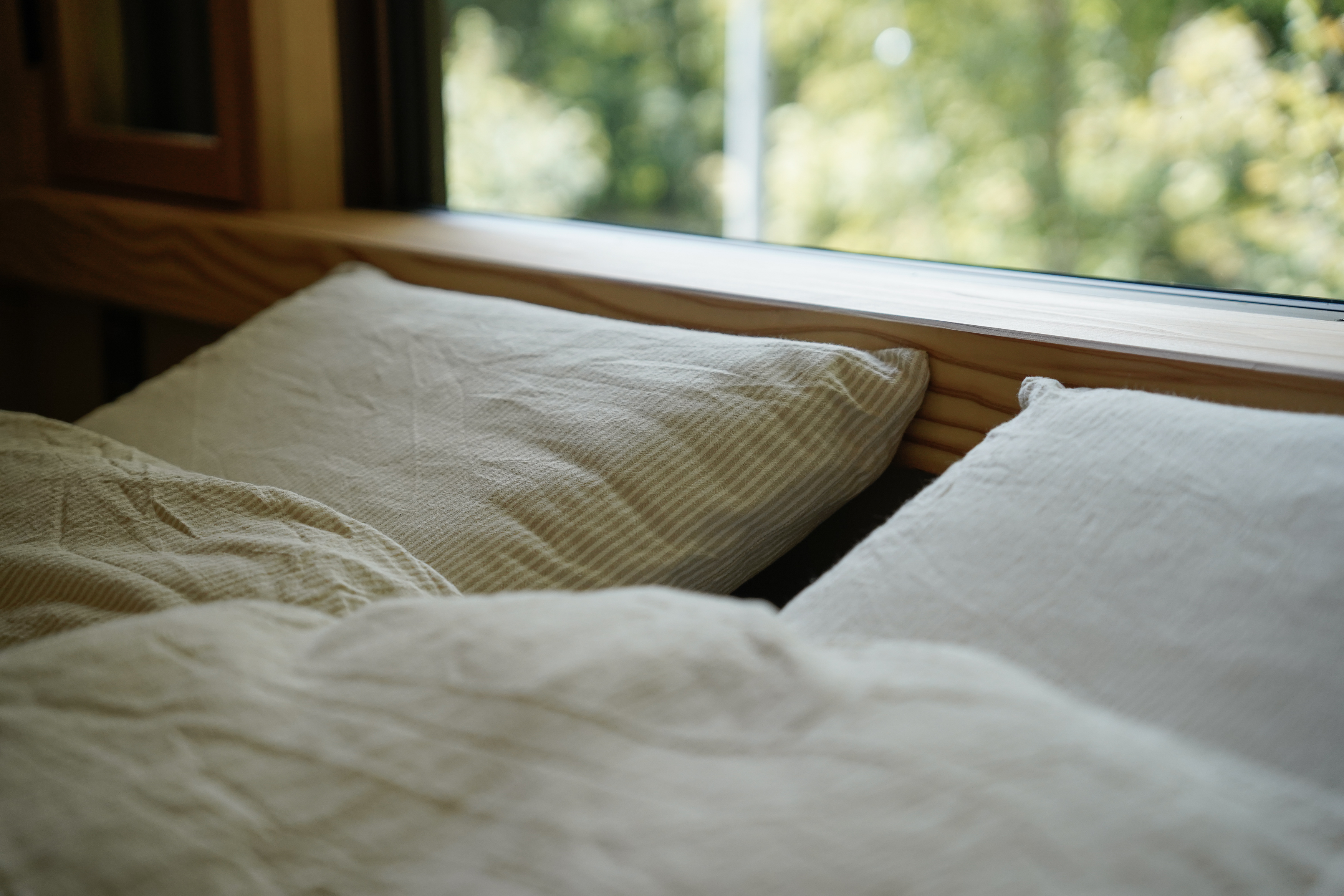 畳と布団越しの緑