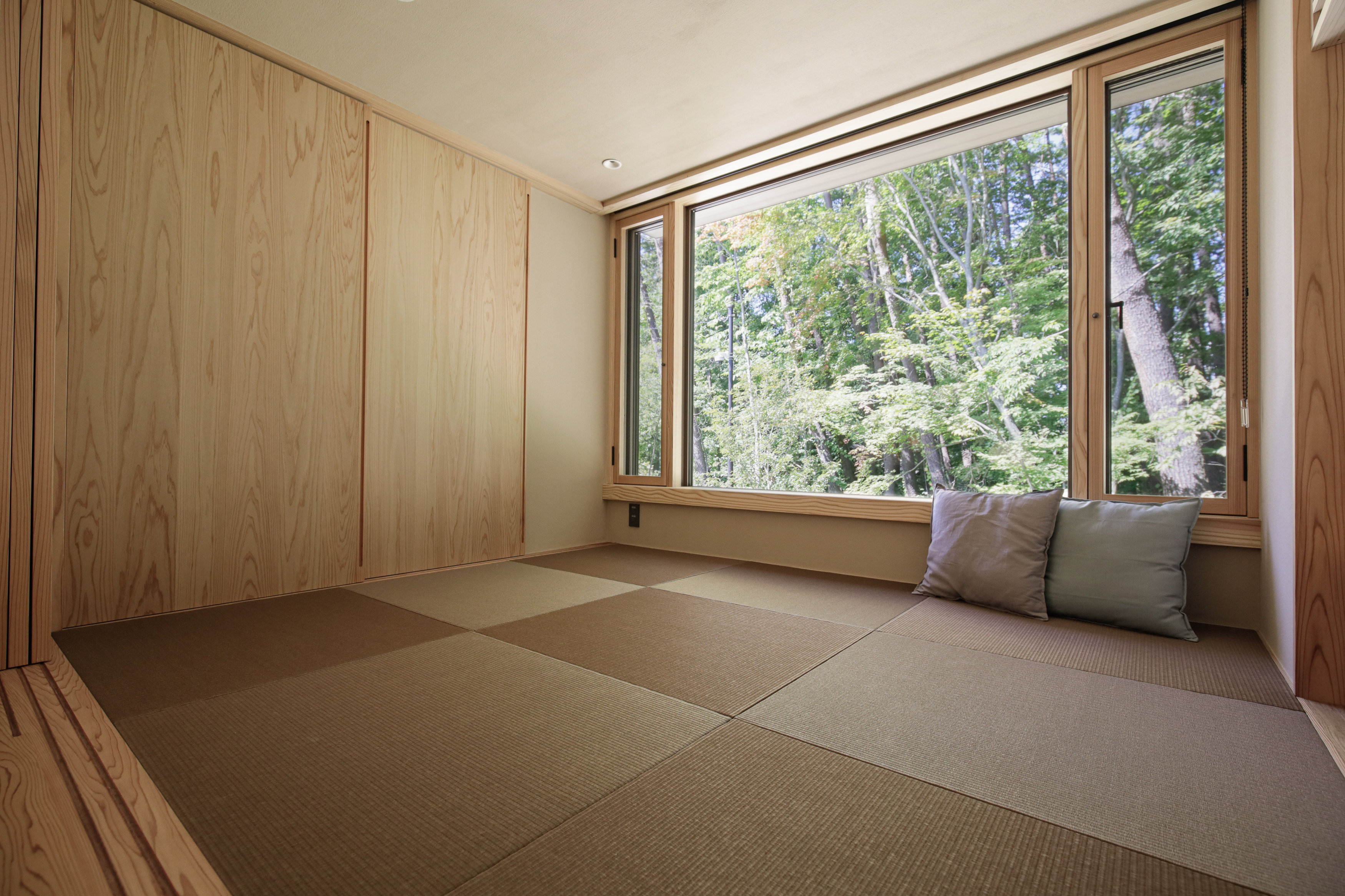 小さな梯子を上った先にあるタタミルームからは目の前に緑豊かな自然がひろがります
