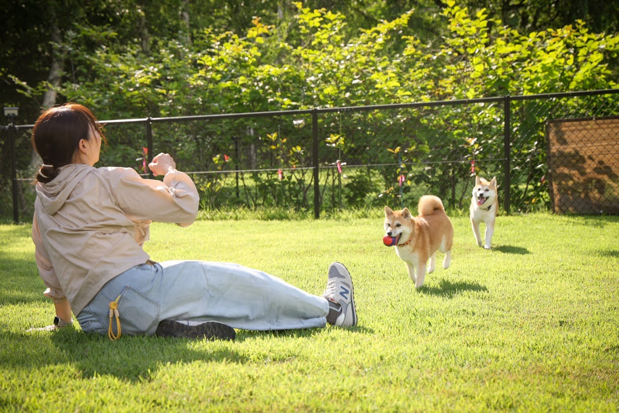 ◆２泊以上でお得に！愛犬と楽しむ信州四季の旅！連泊プラン（ 全日５％OFF）◆ペット宿泊無料◆