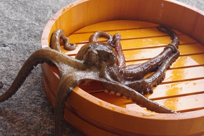 活きた地魚を味わう潮騒プラン（スタンダード）