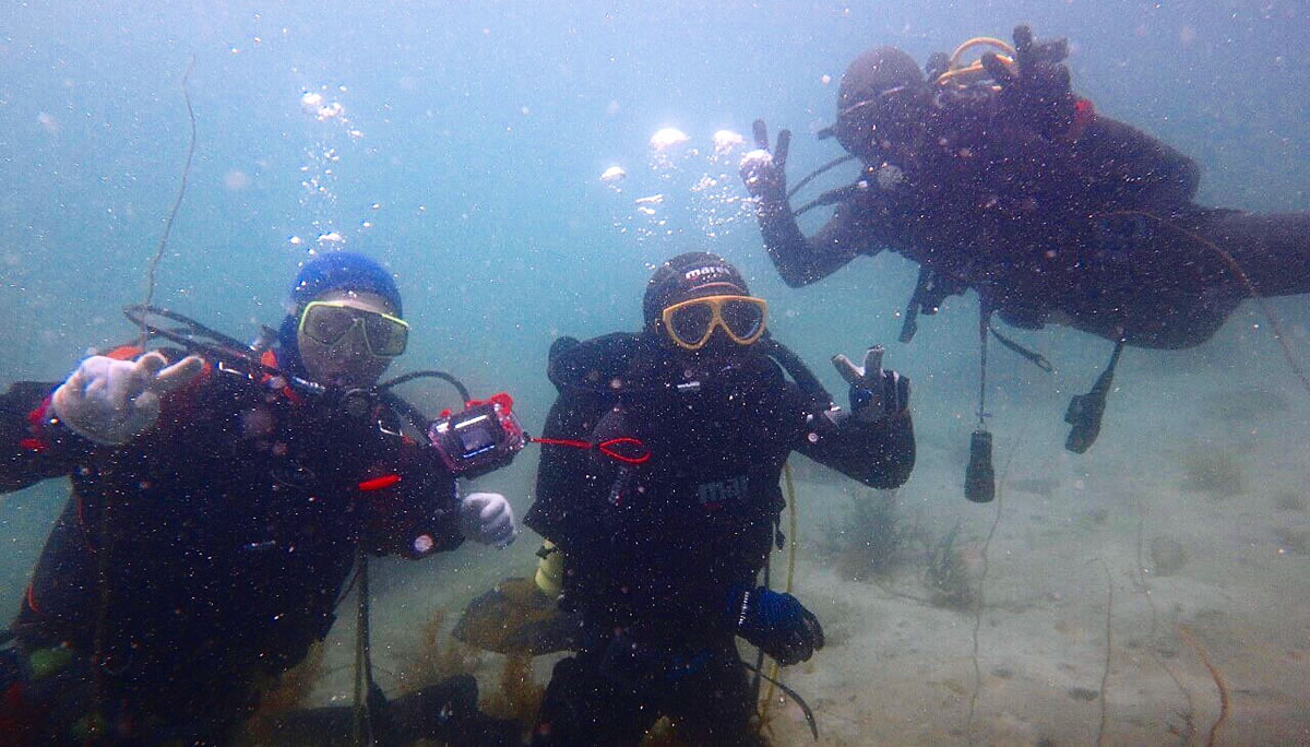 ダイビング・体験ダイビング