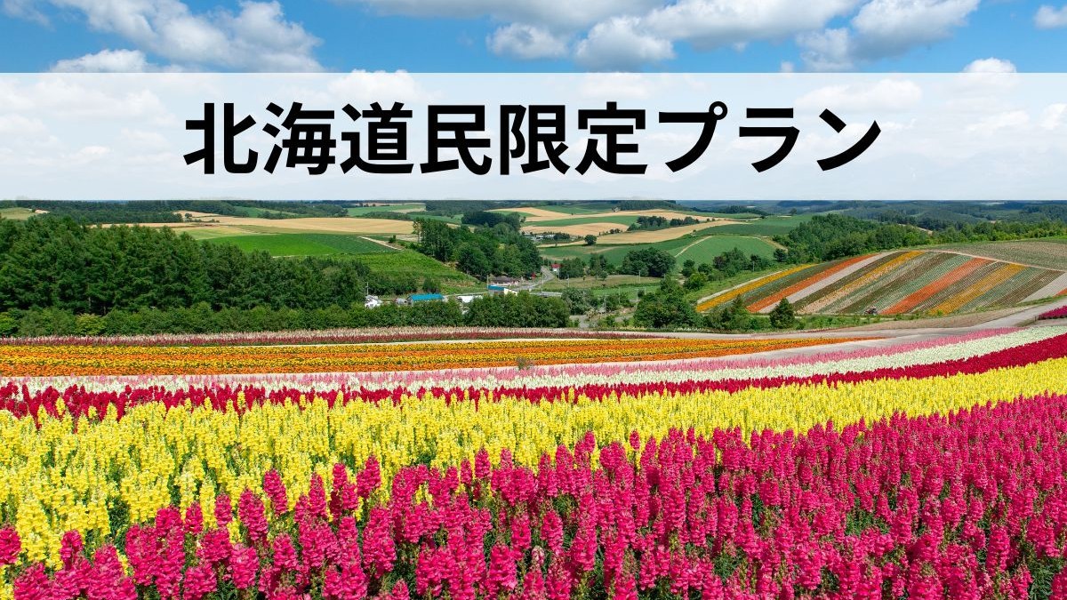 ！北海道民限定！お得な特別プラン【素泊まり】全室洗濯機＆電子レンジ付きで快適STAY