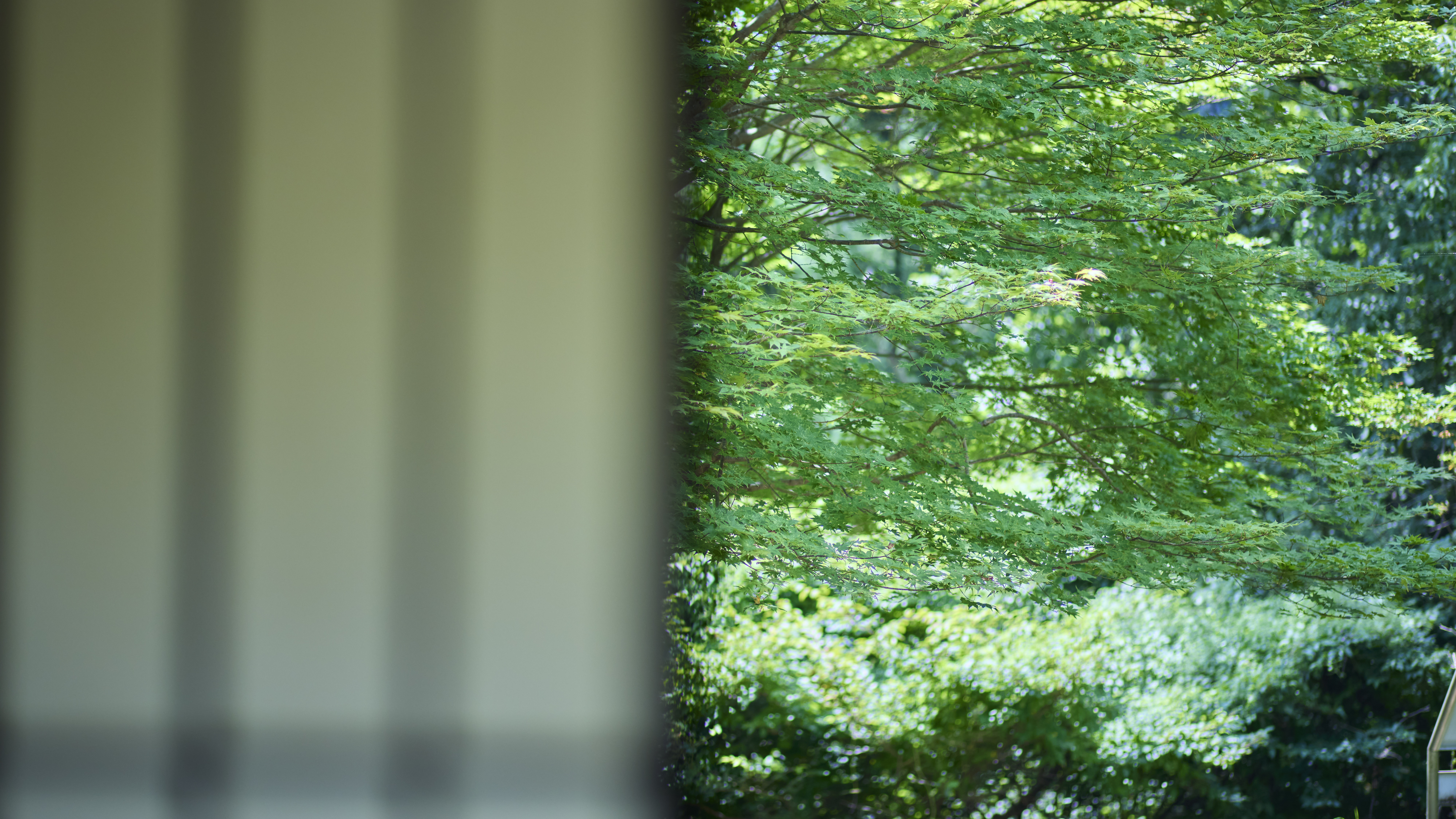 【スーペリア和室】季節ごとに景色が異なる中庭