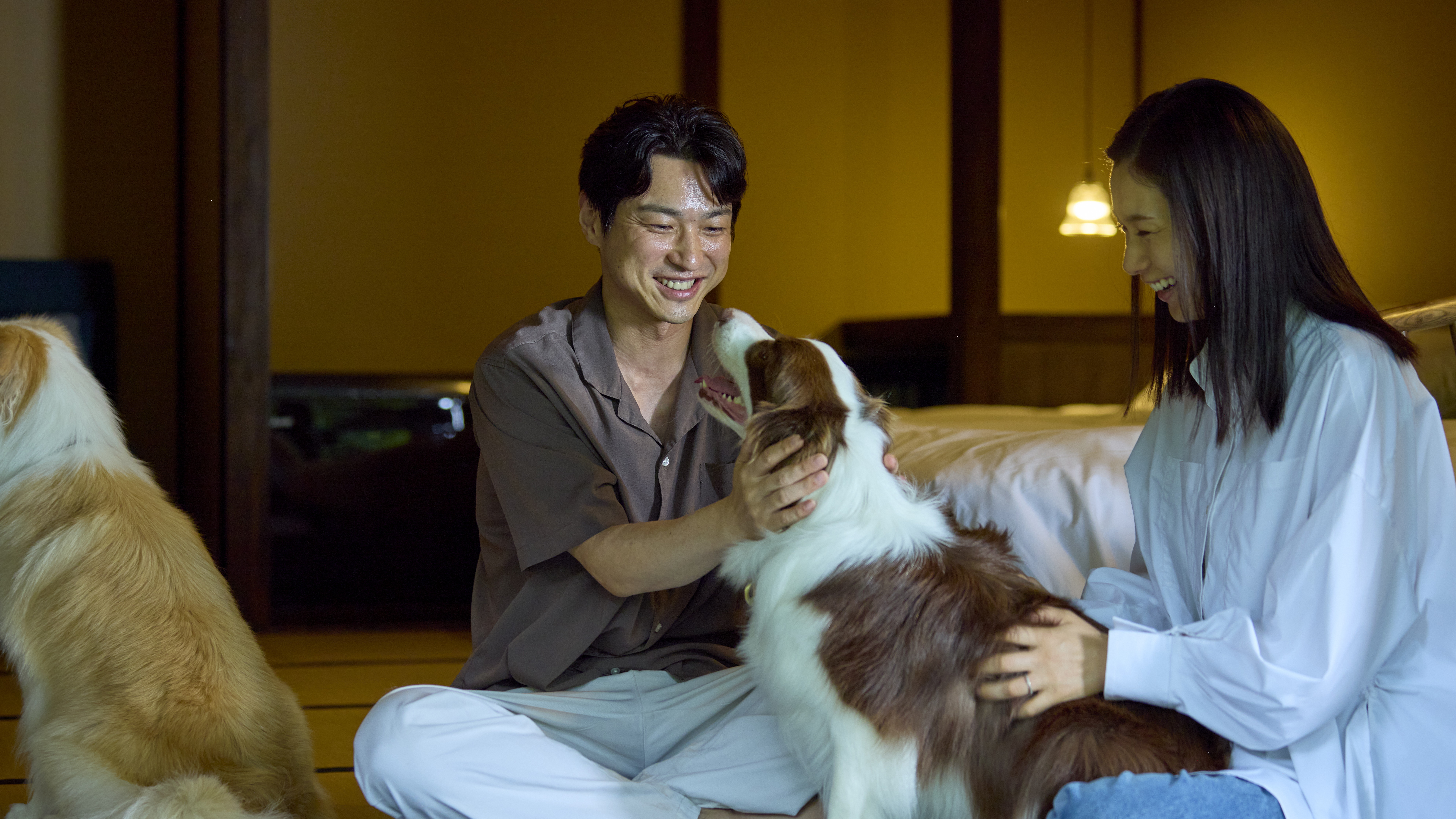 わんちゃんとのかけがえのない時間をお過ごしください