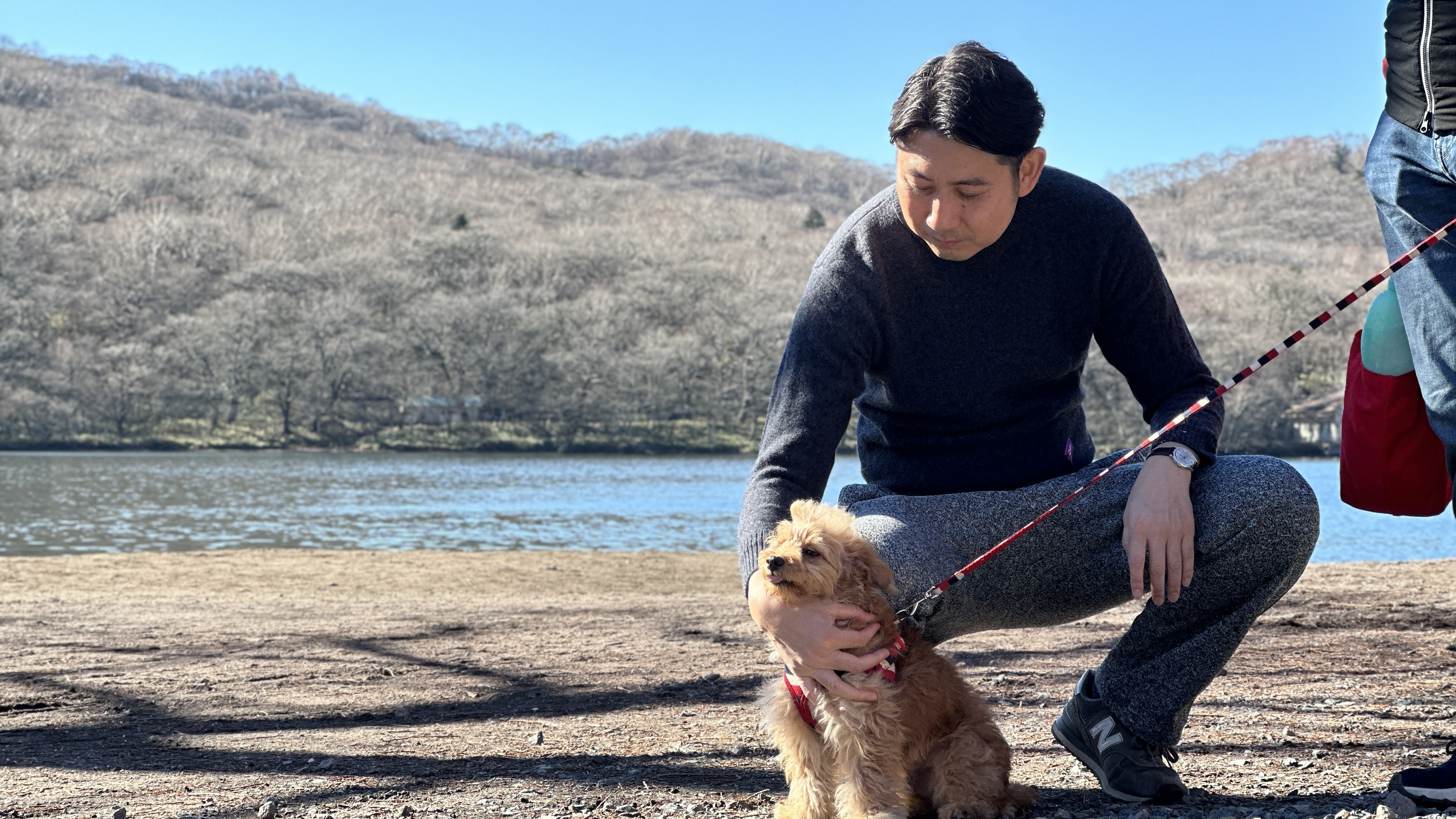 わんちゃんとのお散歩を楽しめます