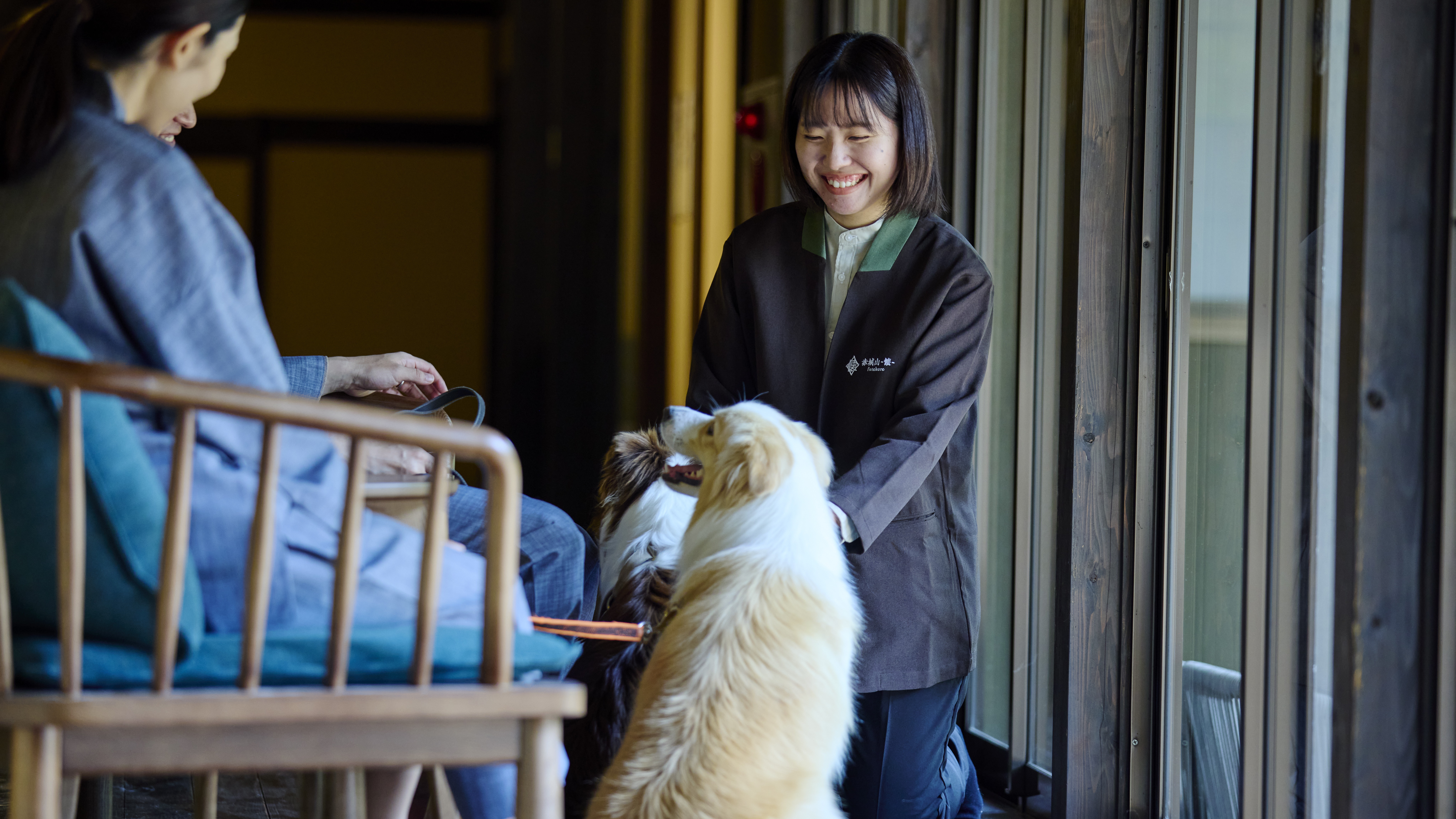 わんちゃん大好きなスタッフが集まっております