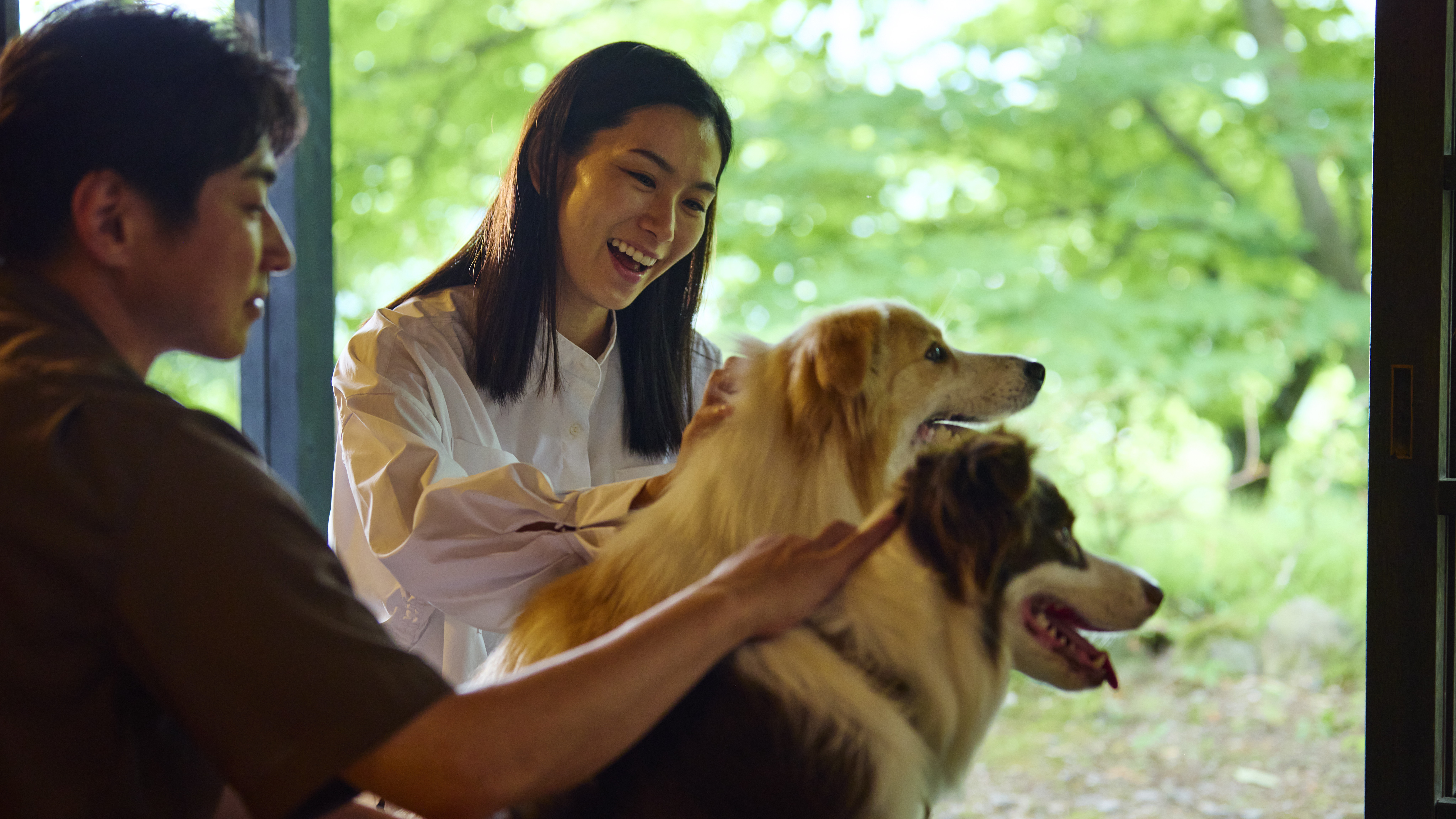 1室につき小型犬・中型犬2頭まで滞在可能