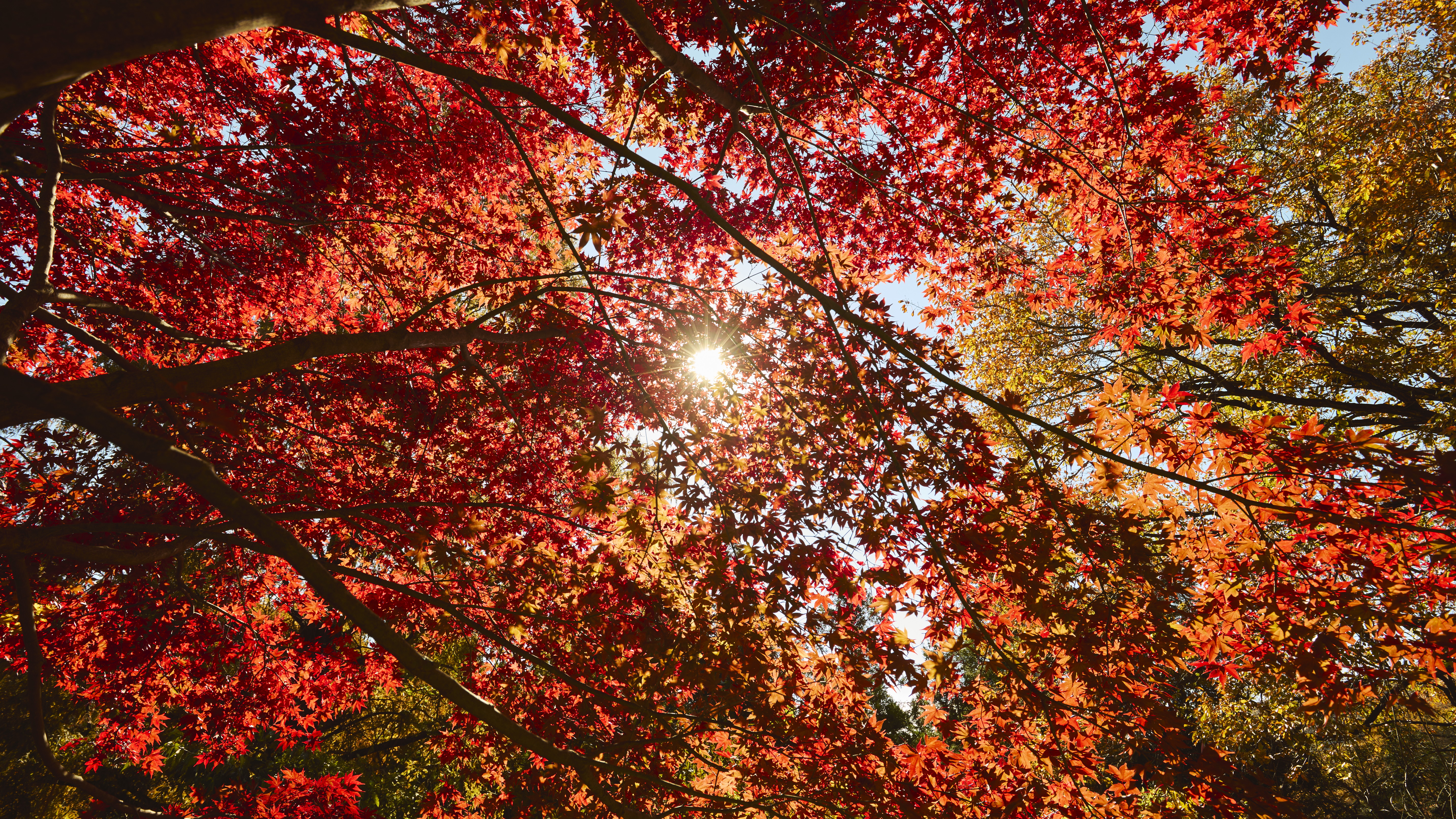 庭園から見上げた景色