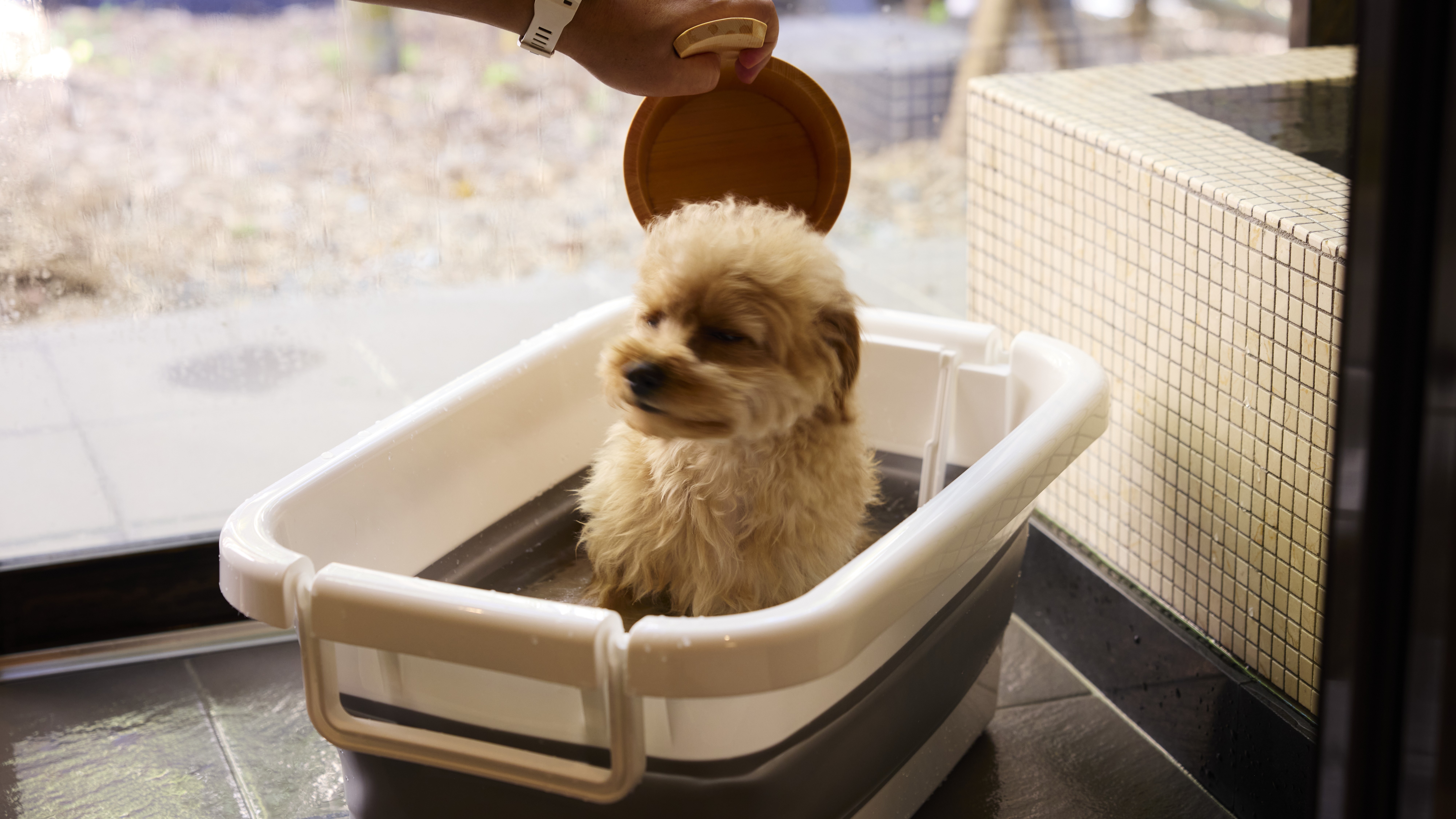 【デラックス和室】愛犬簡易バス