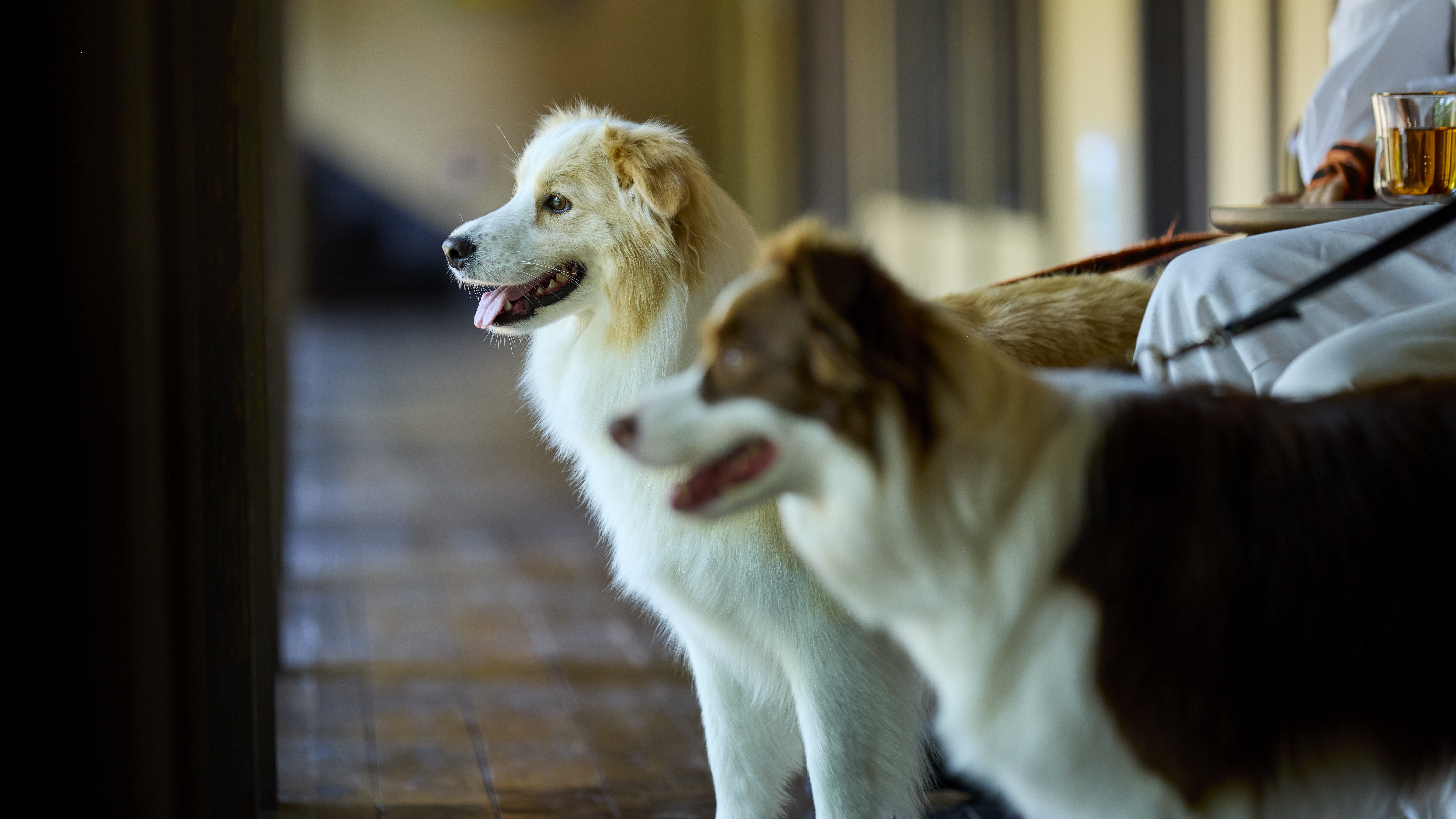 お風呂を除き、館内では一緒にお過ごしいただけます