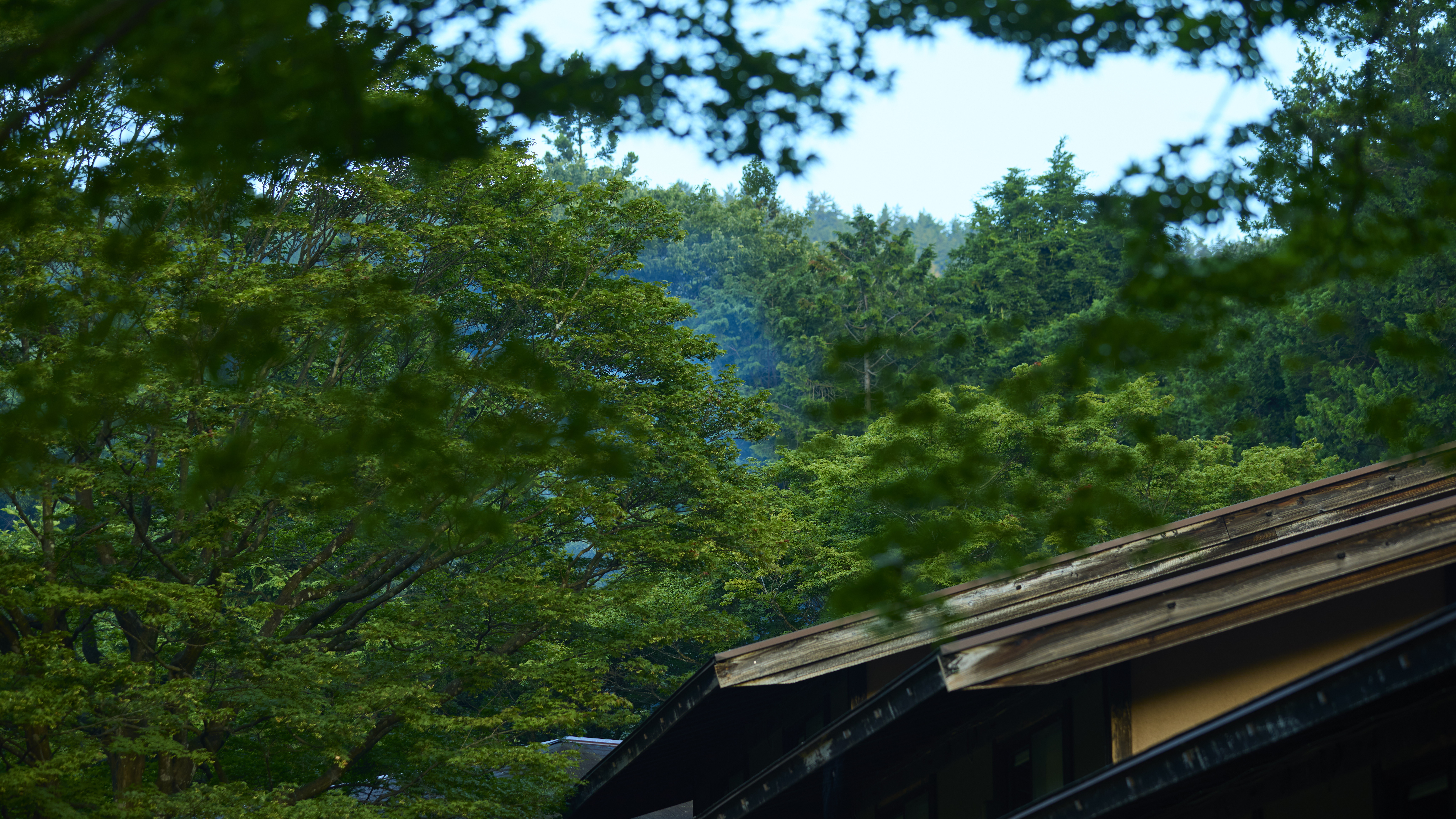 自然に囲まれた当館