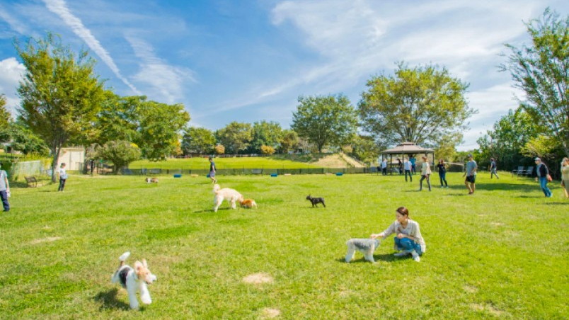 【世界の名犬牧場】車 20分