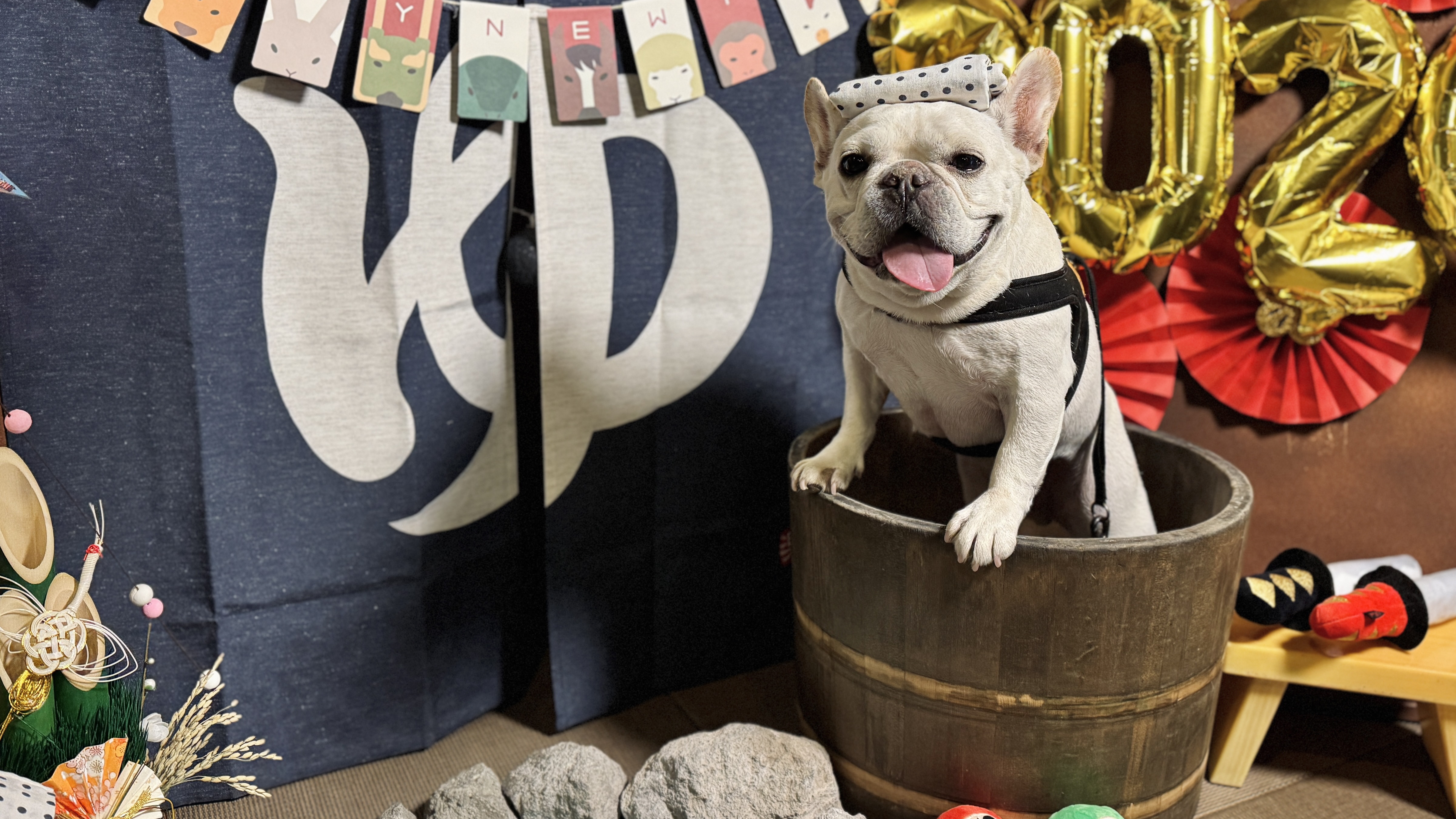 季節ごとに変わるフォトスポットでのお写真もお楽しみください