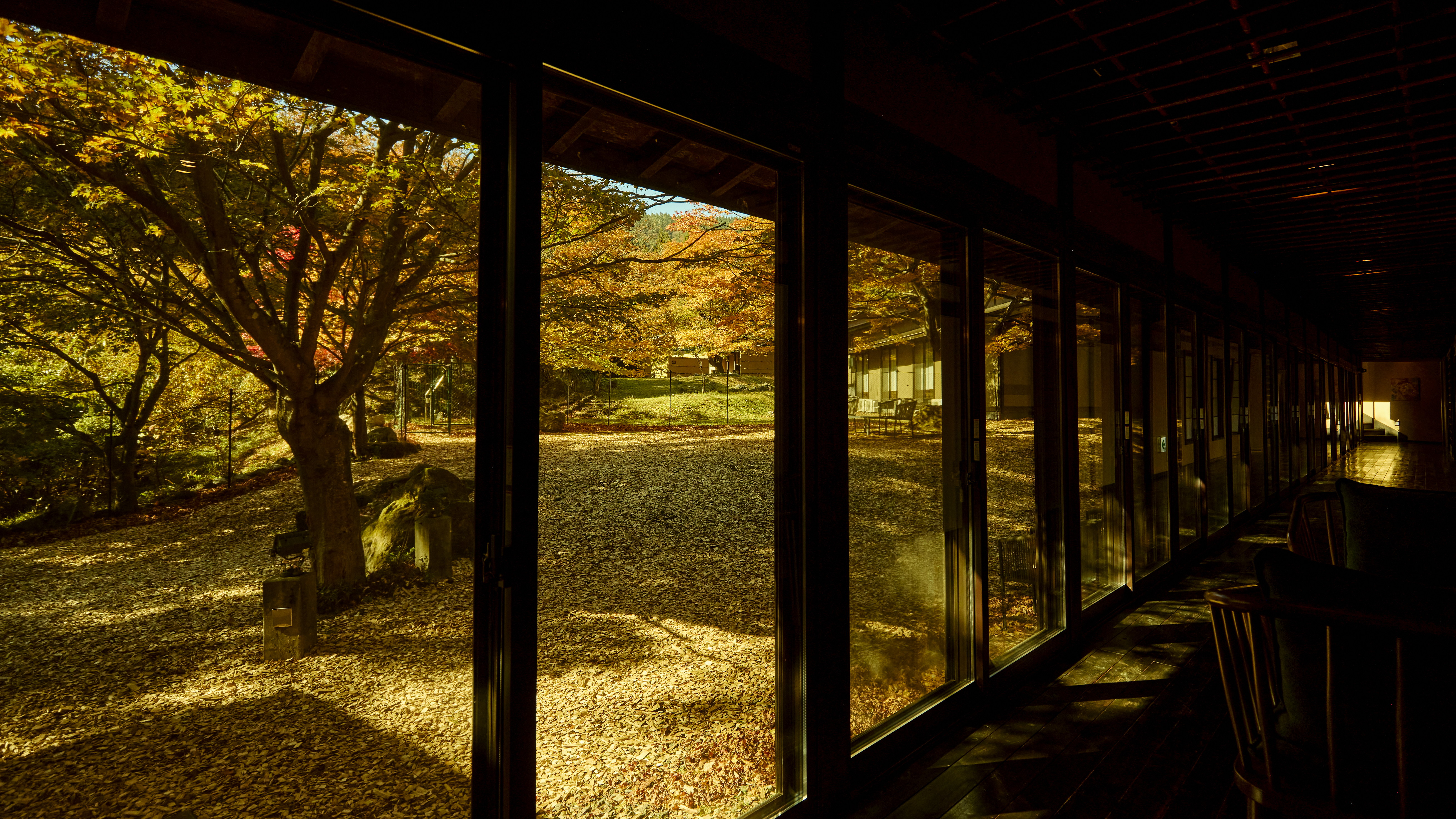 秋には館内から絵画のような紅葉の景色がご覧いただけます