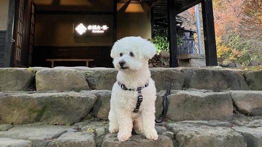 玄関前にて撮影。駐車場から玄関まですぐ近くとなっております。