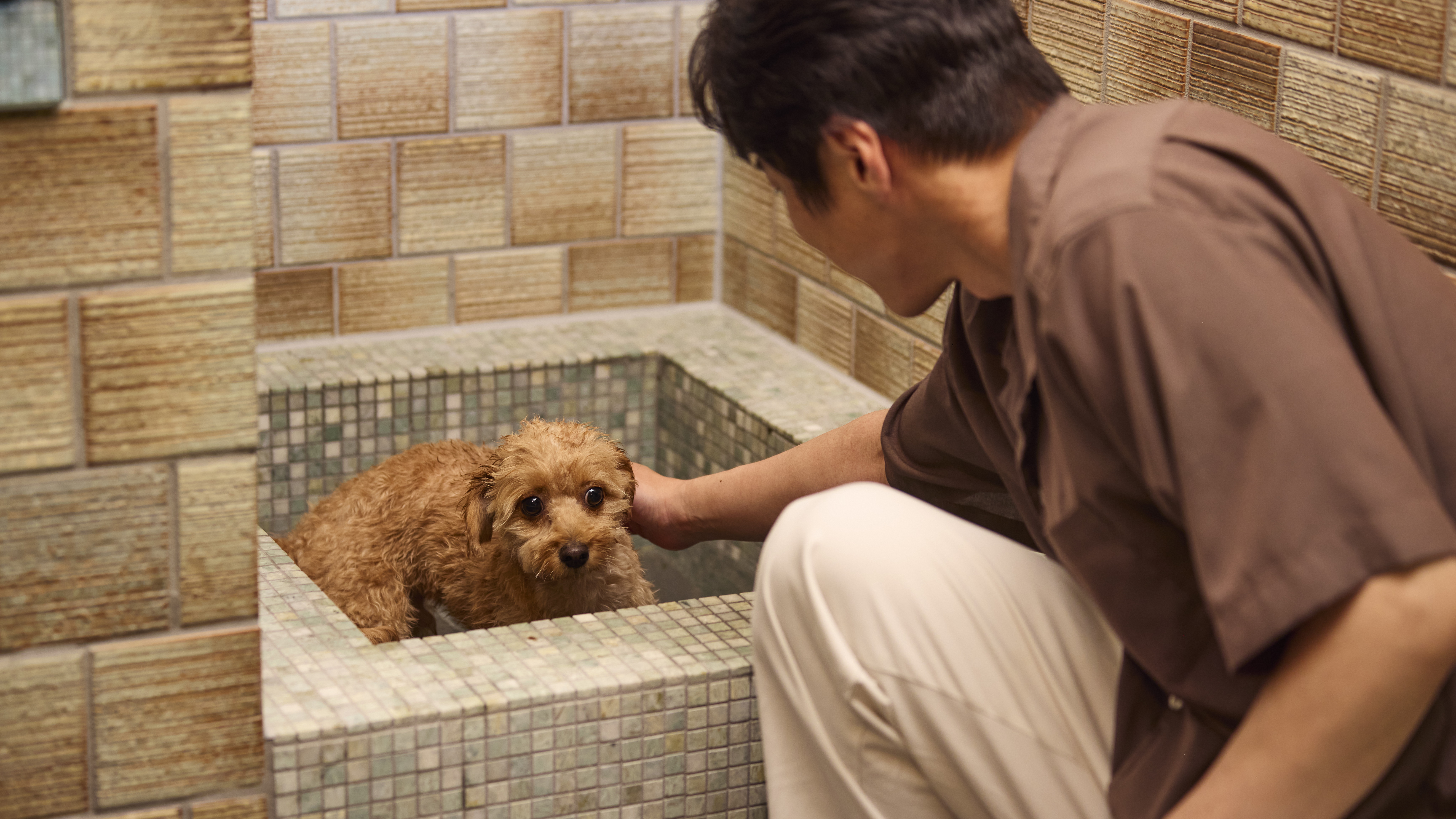 【離れ特別和室】愛犬用風呂もご用意