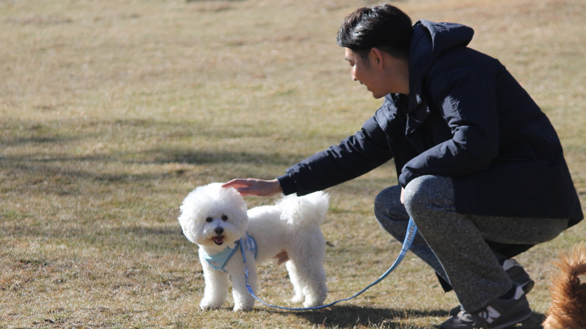 周辺でのお散歩風景