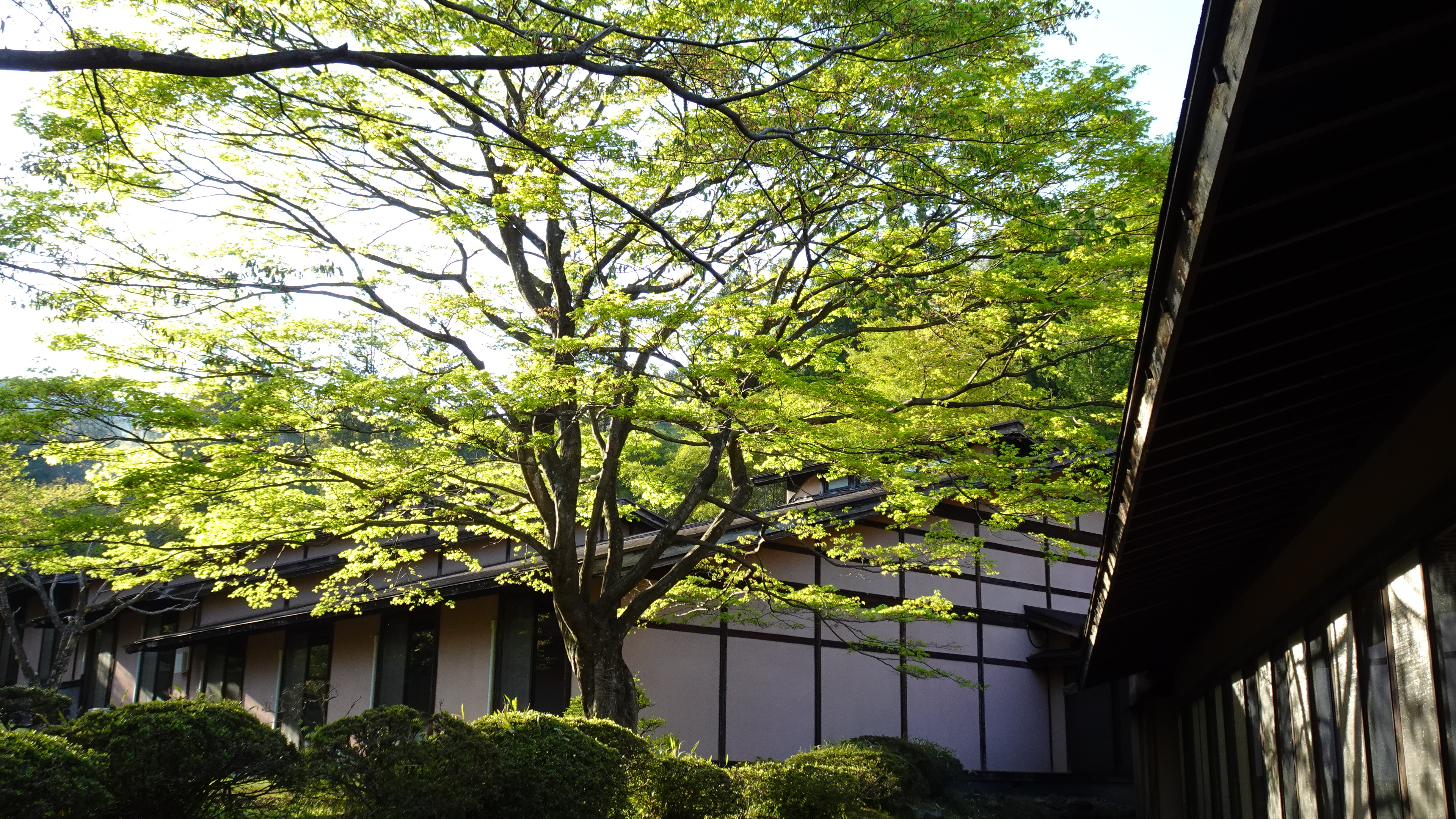 赤城山 - 懐 -  外観