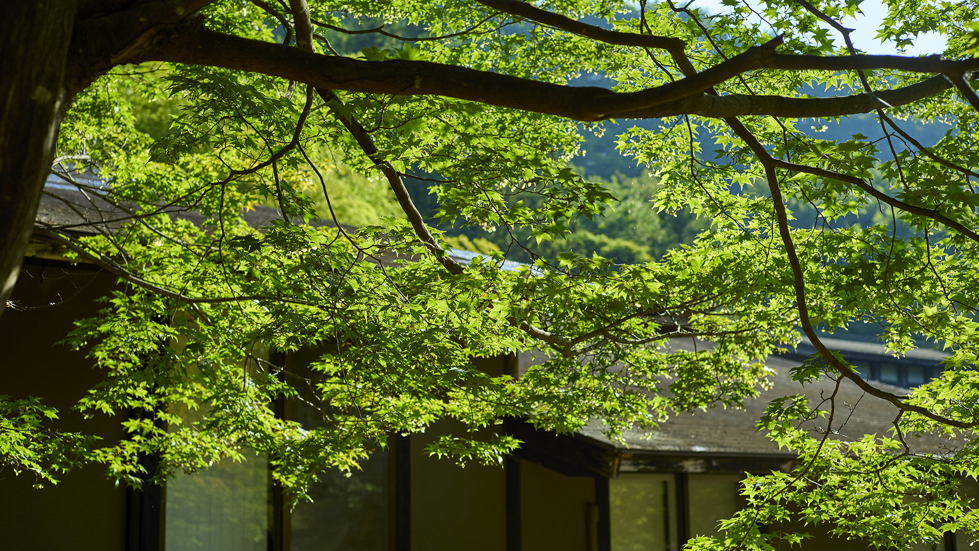 自然に囲まれた当館