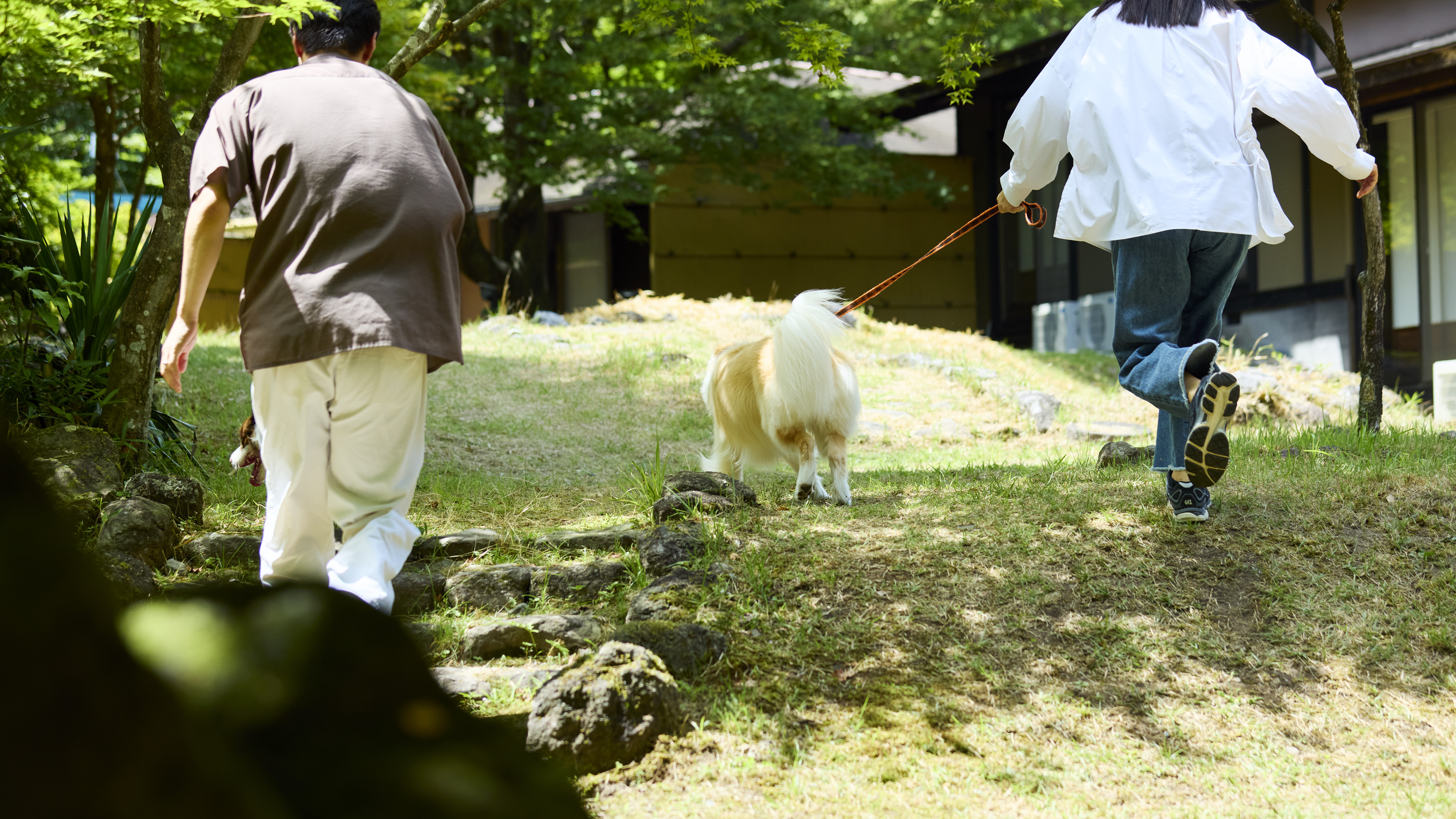 中庭ではドッグランの他、軽いお散歩も可能