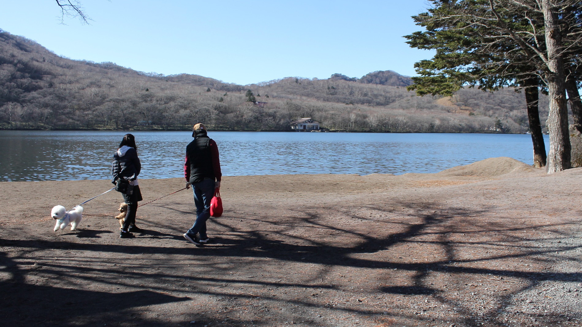 わんちゃんとのお散歩を楽しめます