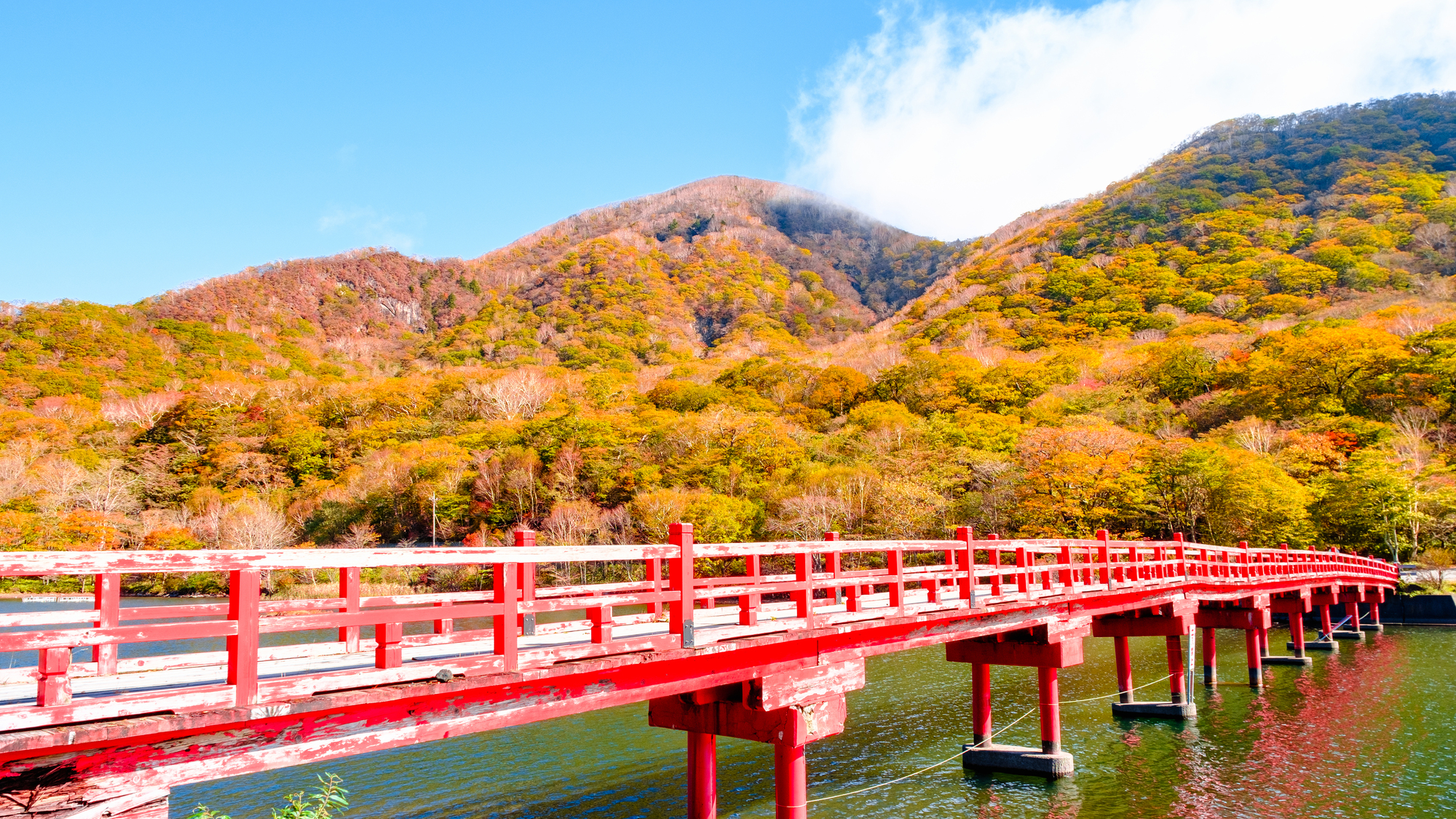 赤城神社（大沼）