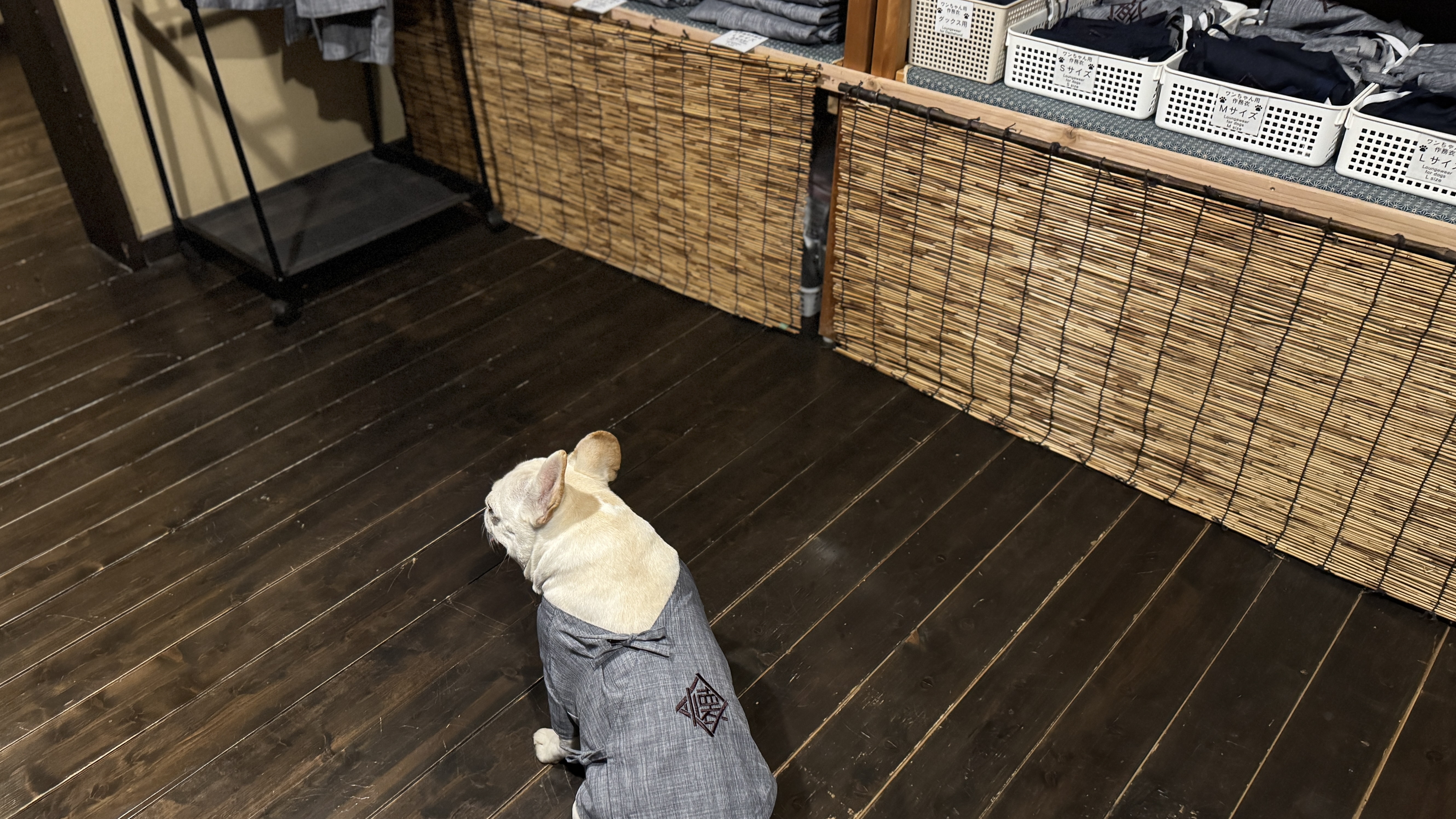 わんちゃん用作務衣は、お好きなサイズをお選びください