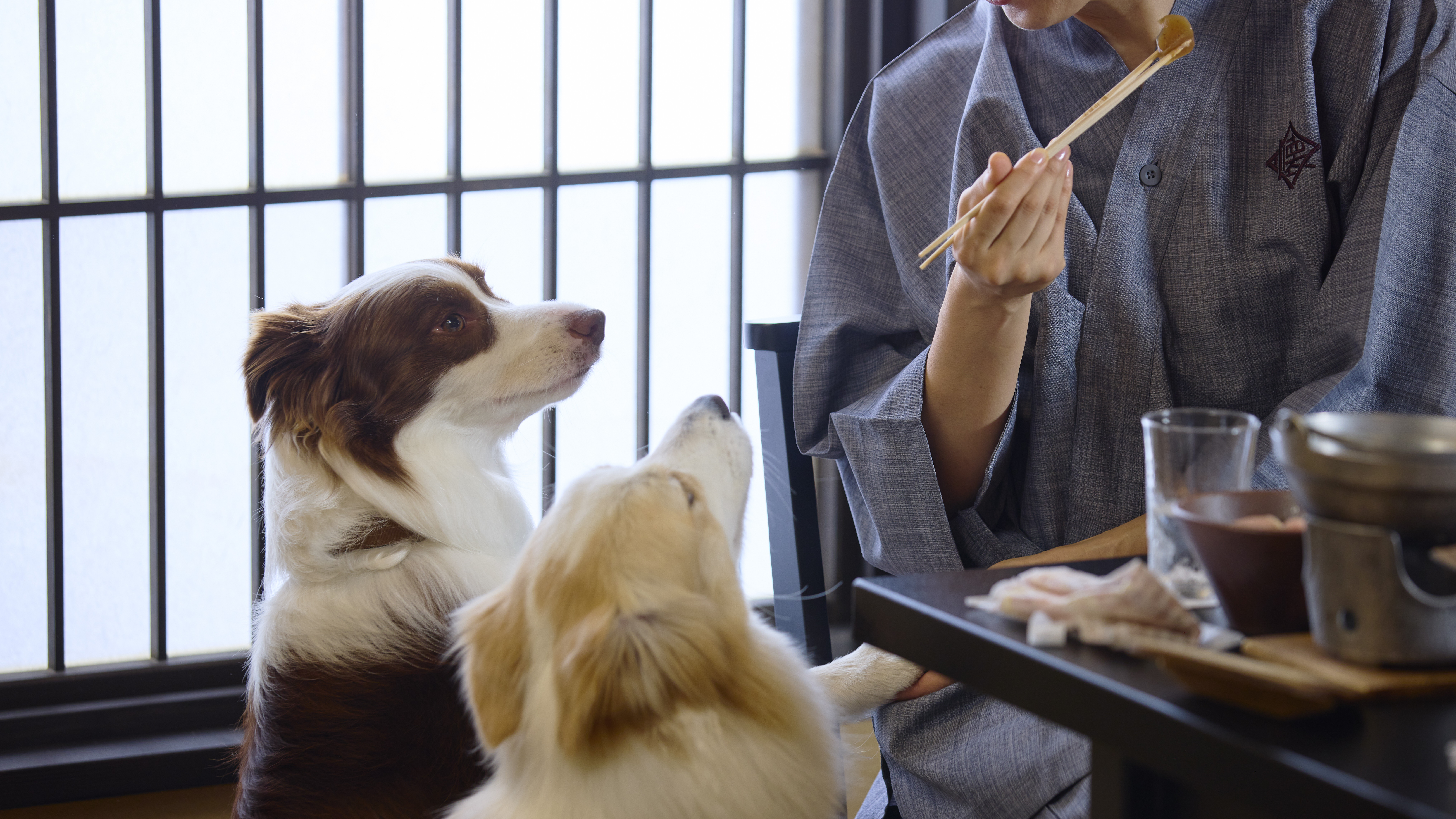 お食事処でもわんちゃんと一緒にお過ごしいただけます