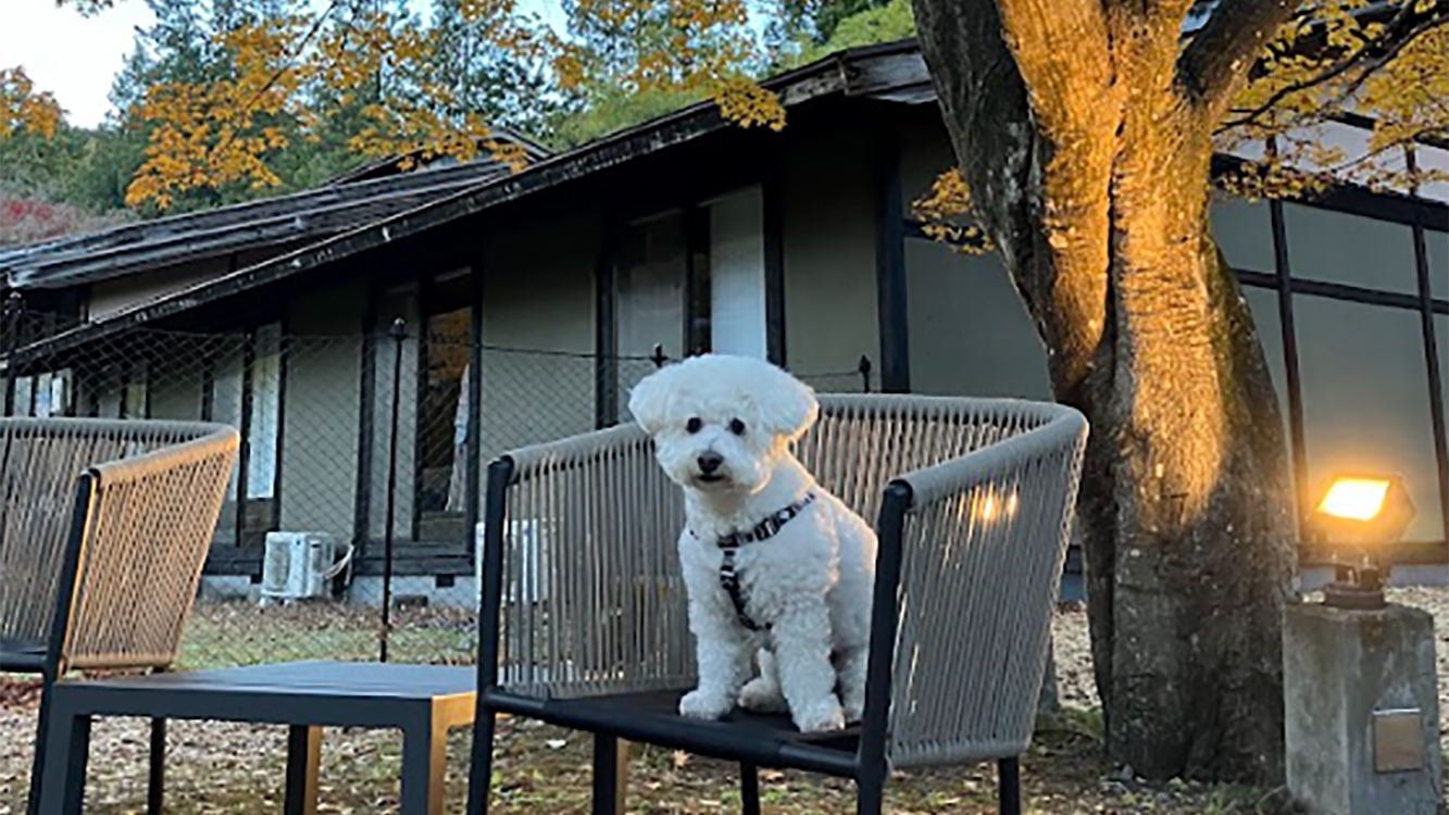 ドックランの前にて